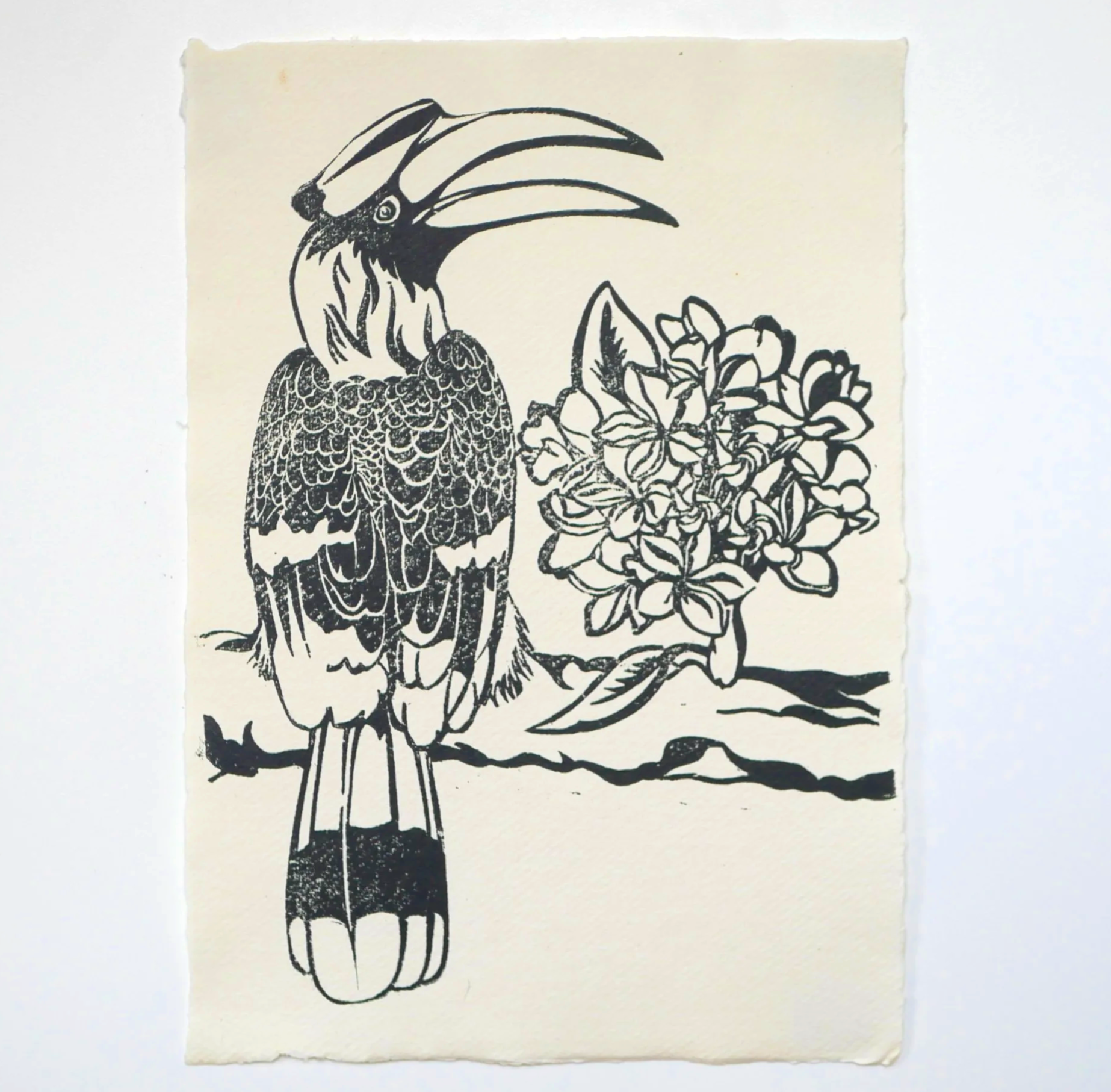 The Great Hornbill and the Red Frangipani
8 × 11 inches
Black Relief Ink on Khadi Paper
2024
