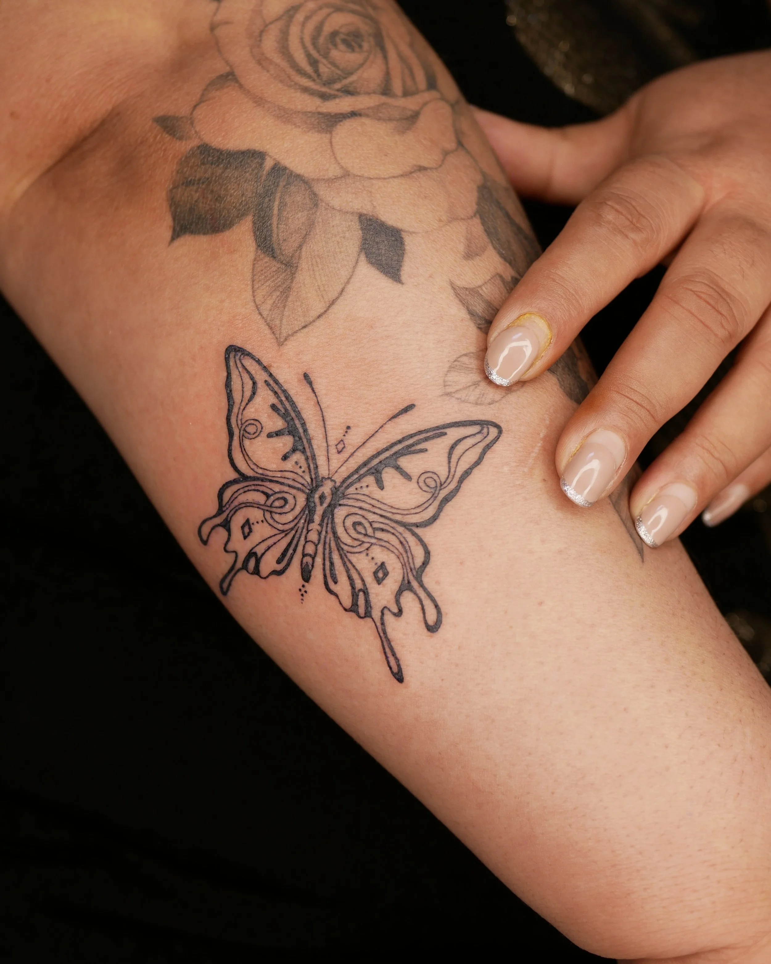 Patterned butterfly, 2026