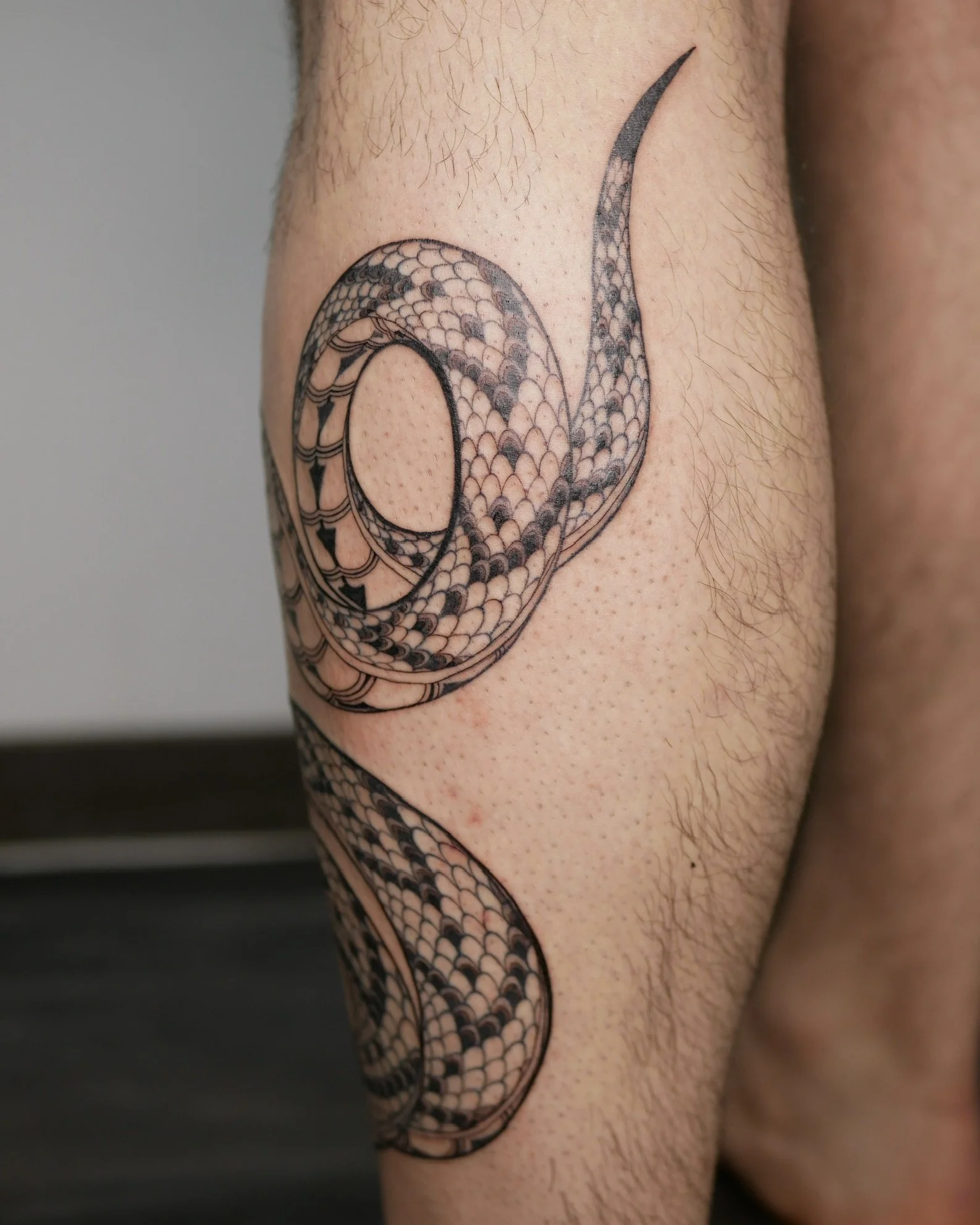 Patterned snake around the leg
2026