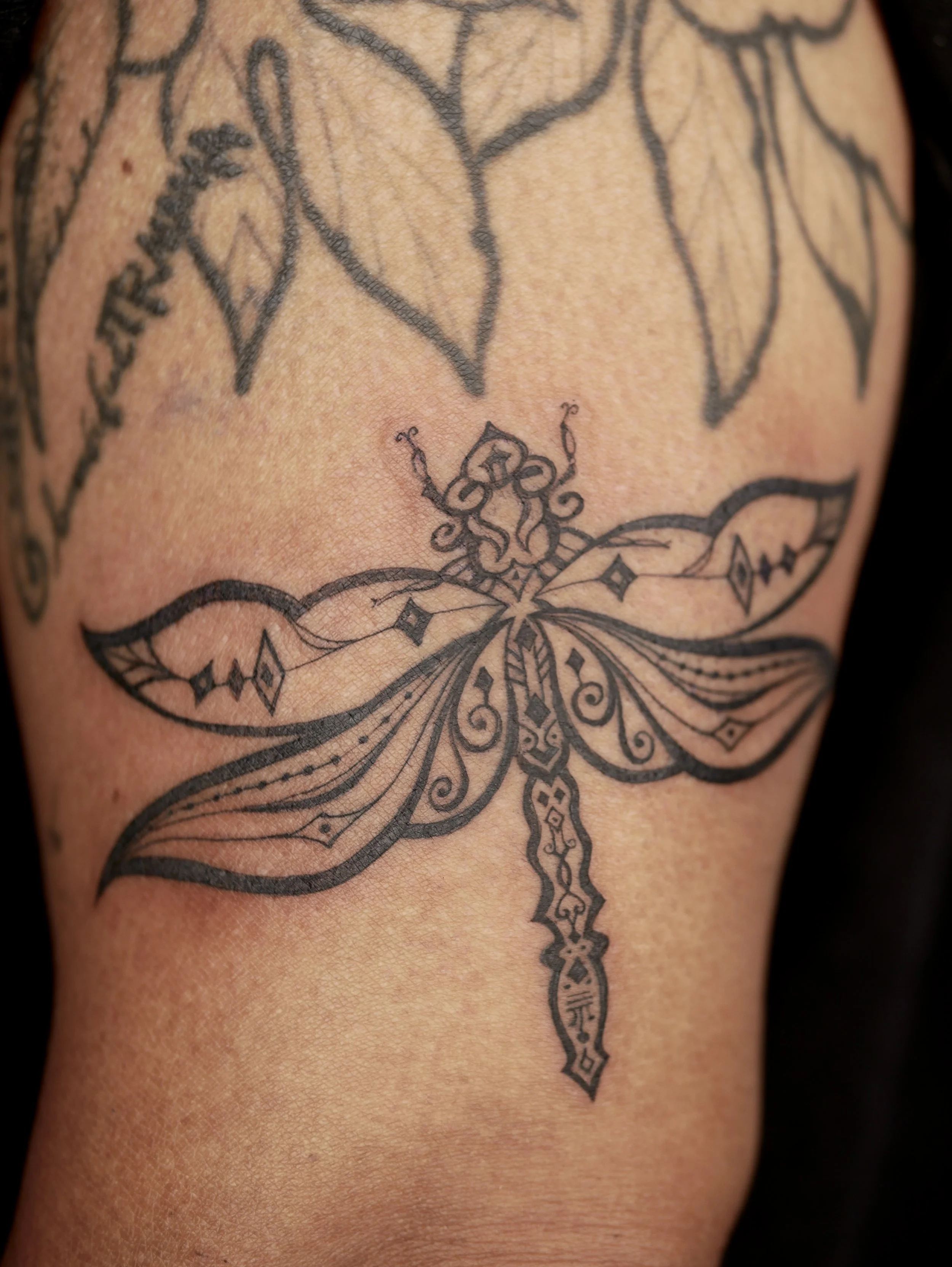 Patterned dragonfly, 2026