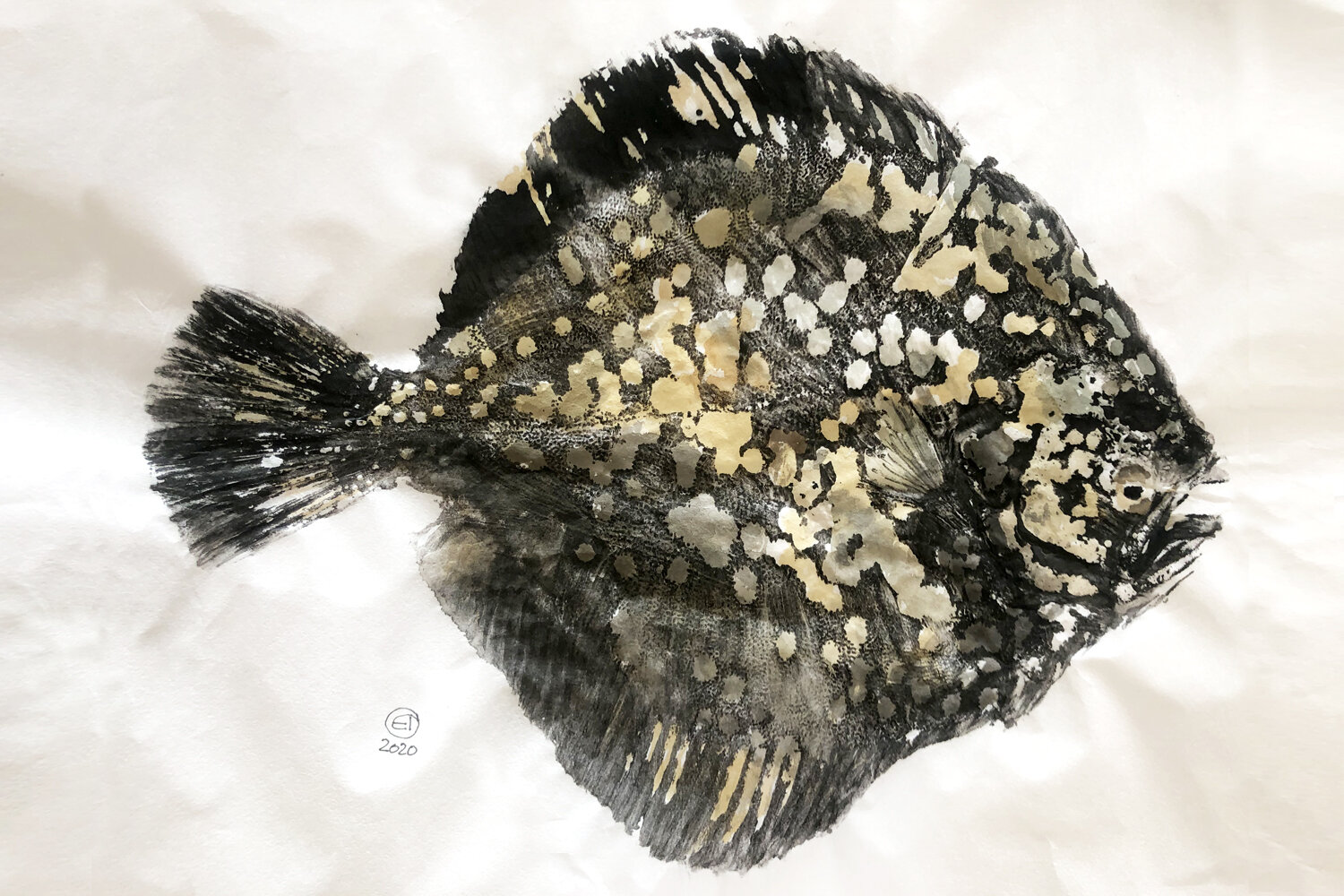 TURBOT
encre de Chine
papier de riz
aquarelle