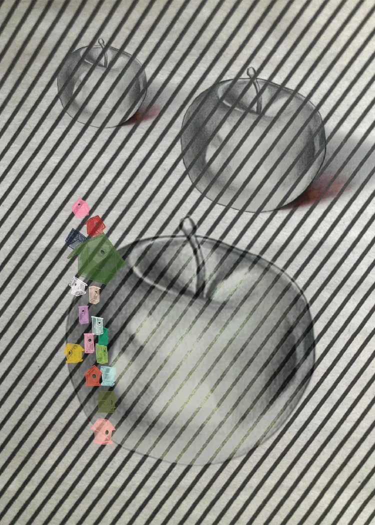 19