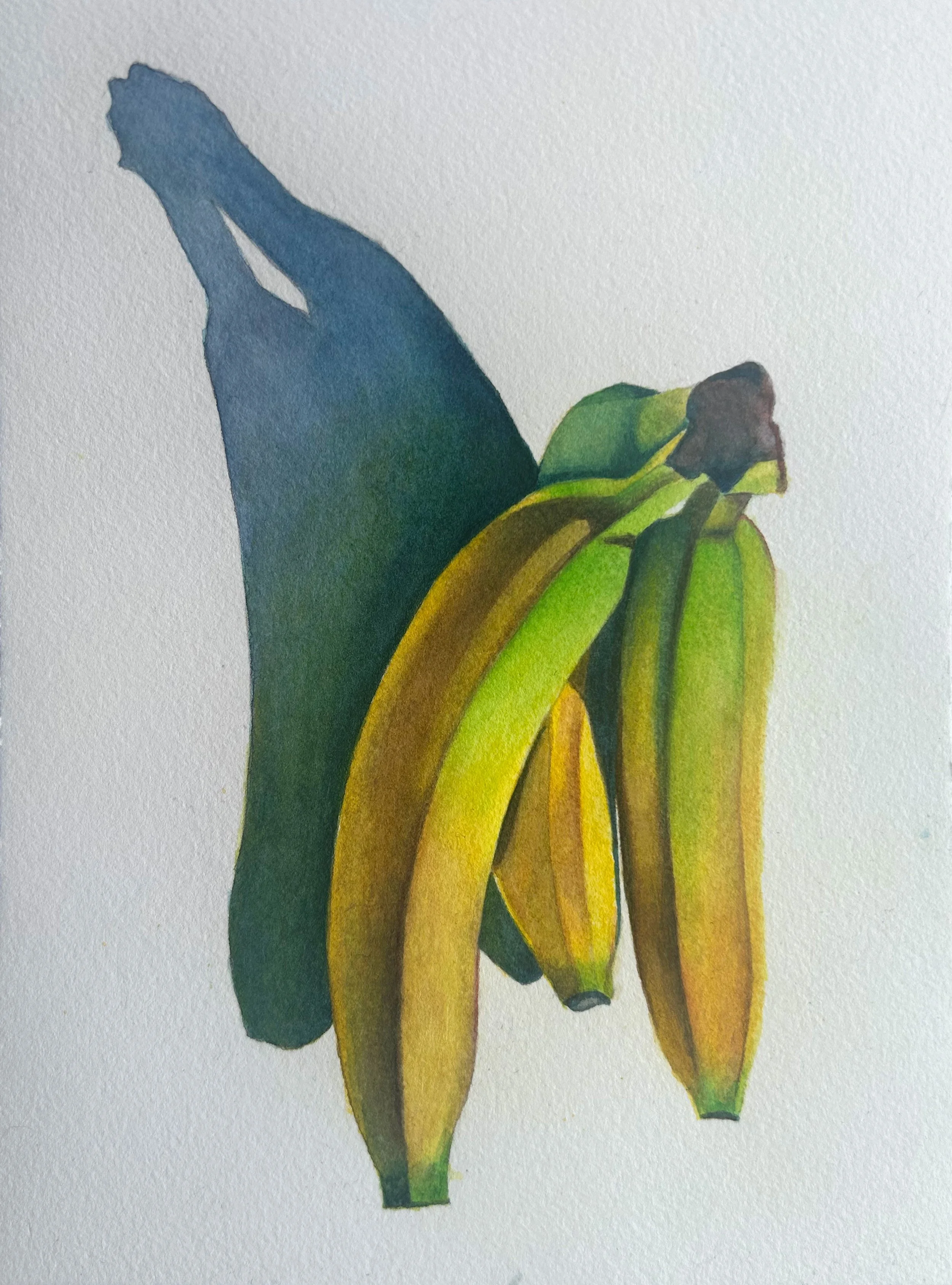 Banana Shadow | Watercolour on Paper, 6"x8"