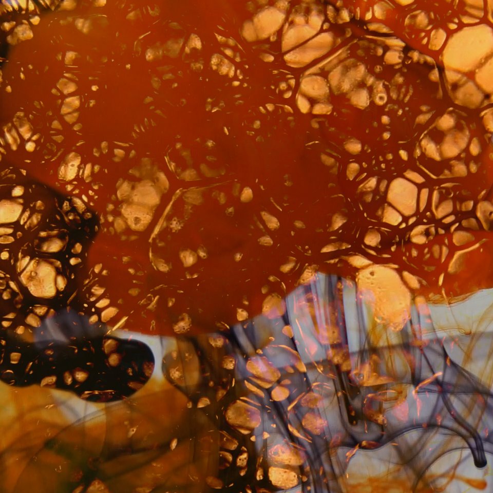 Still image from performance