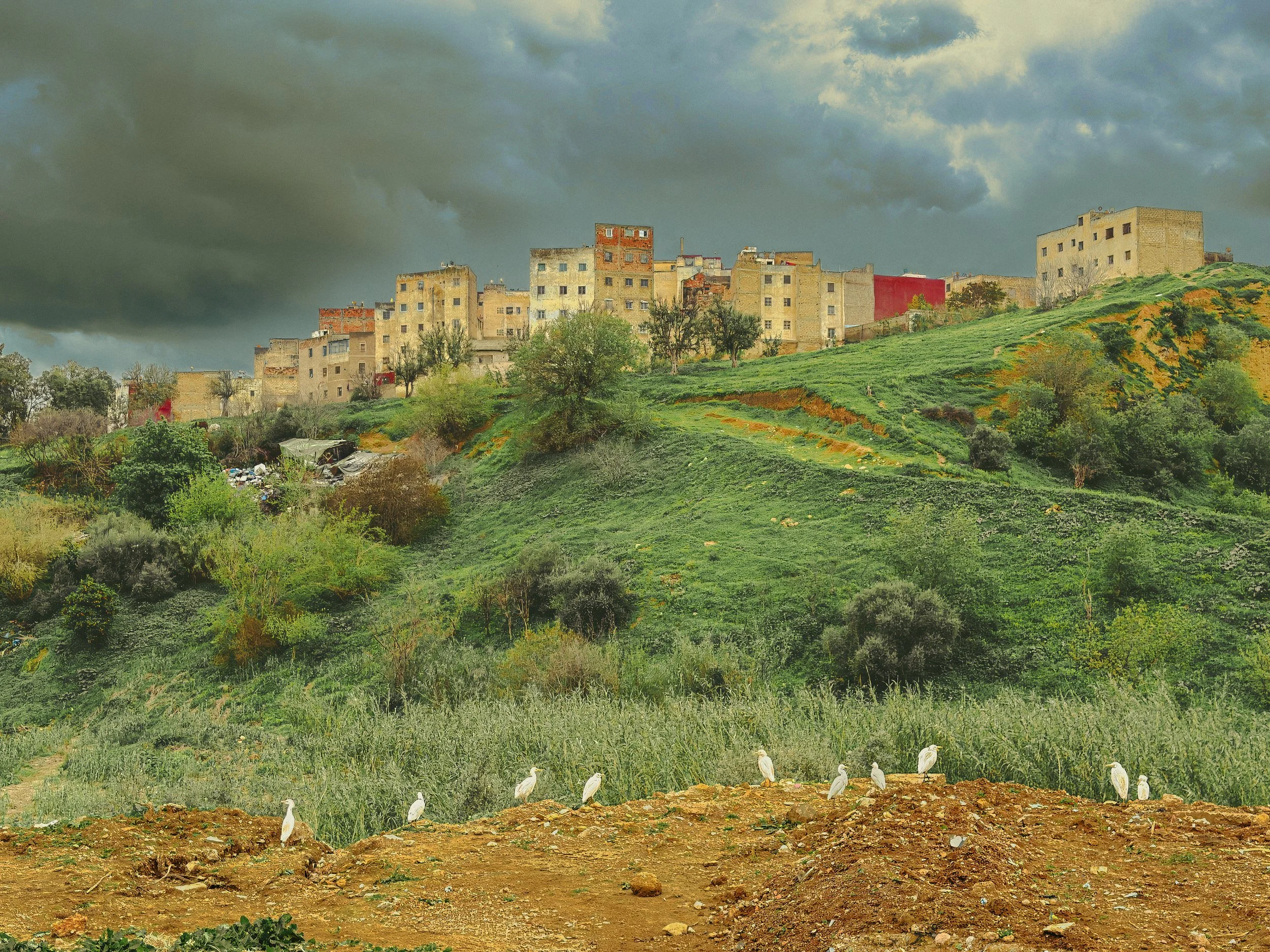Along the Border. Fez, Morocco 204