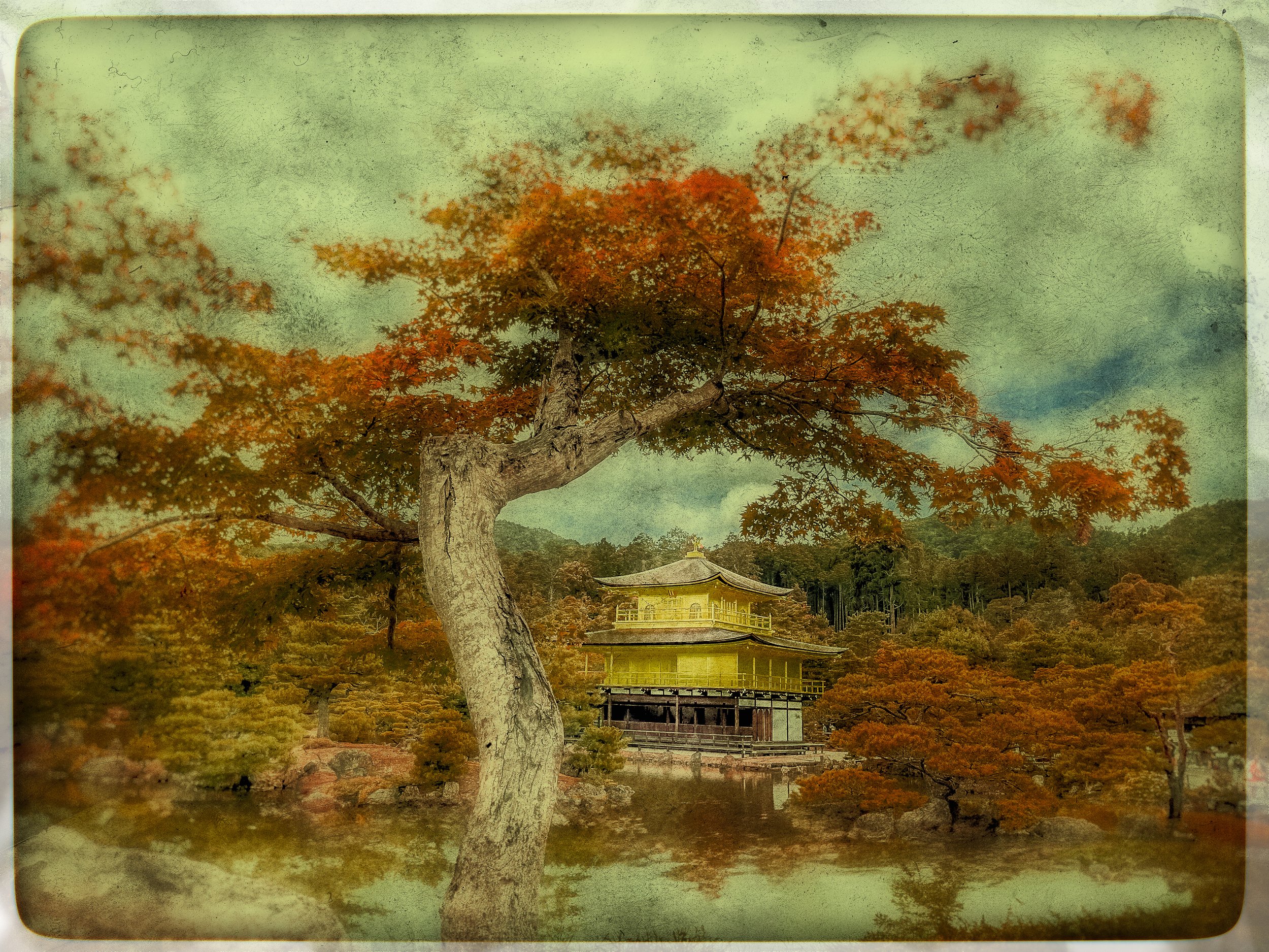 IMG_1574-Edit-2-Edit-Edit-Edit.jpg