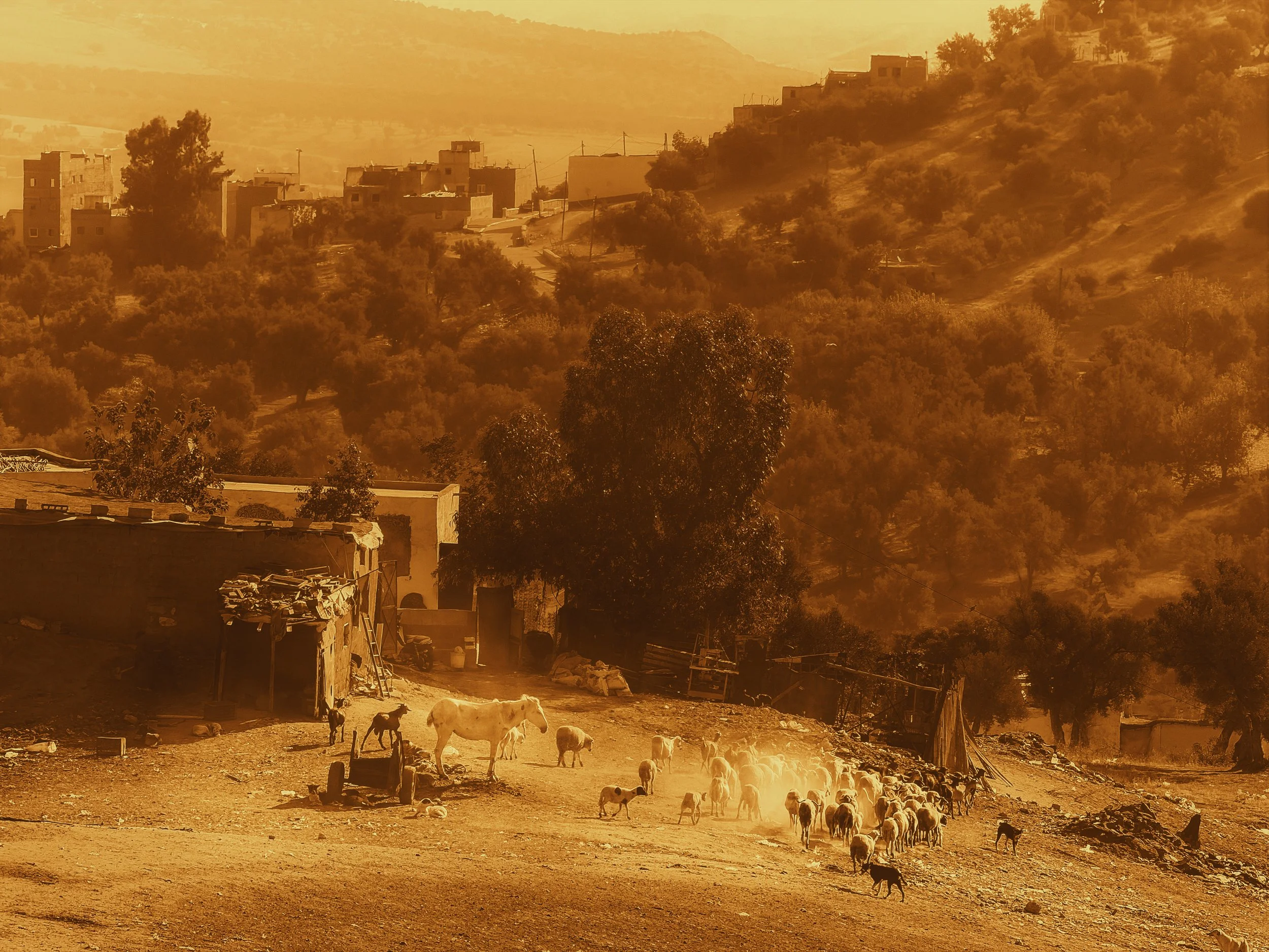 Along the Border. Fez, Morocco 37
