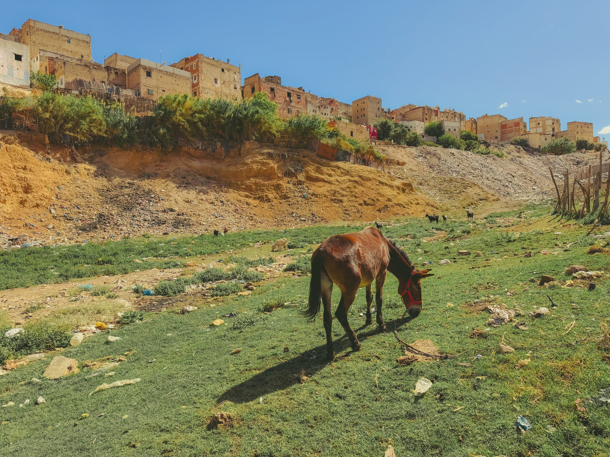 Along the Border. Fez, Morocco 30