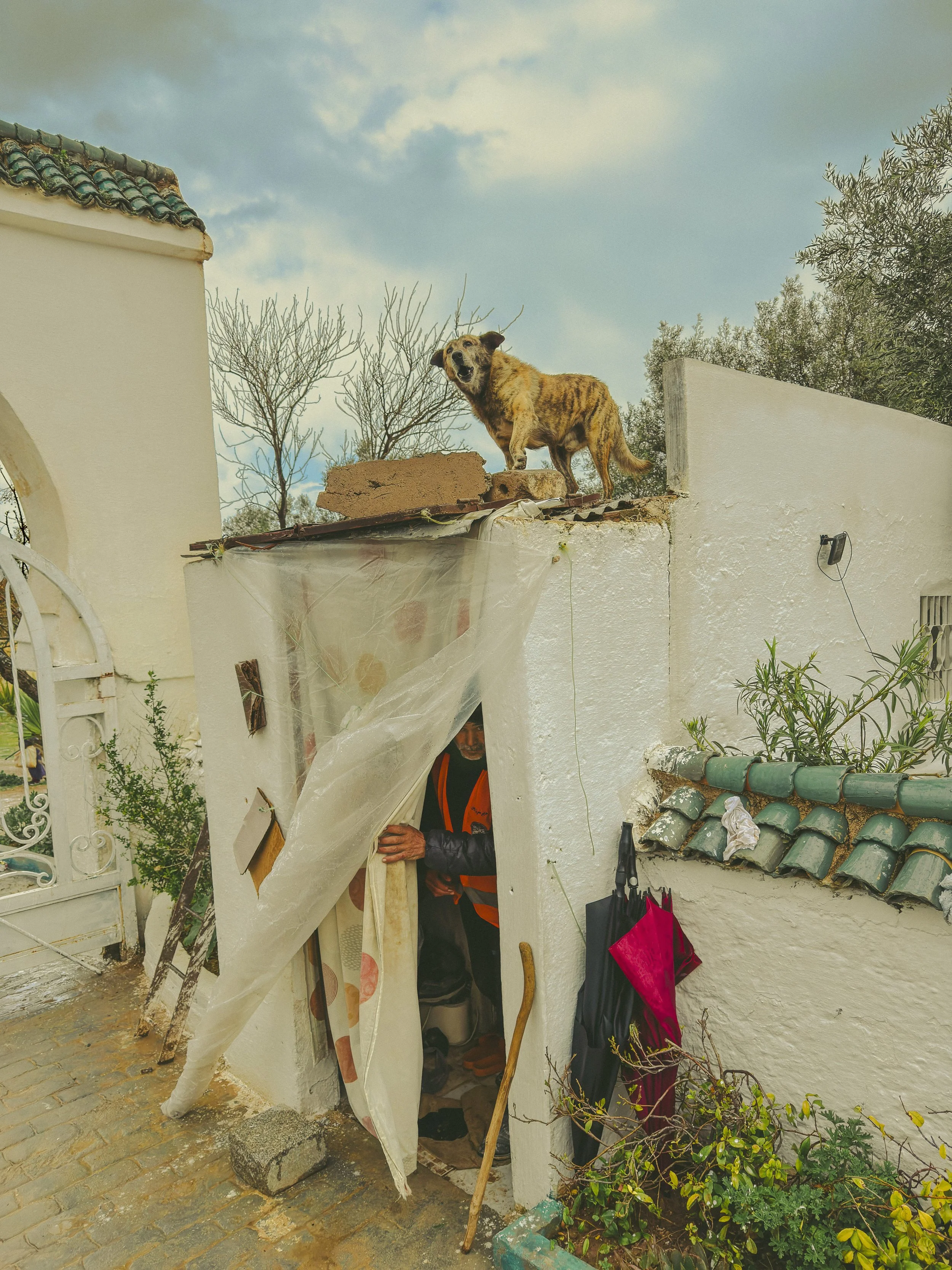 Along the Border. Fez, Morocco 215