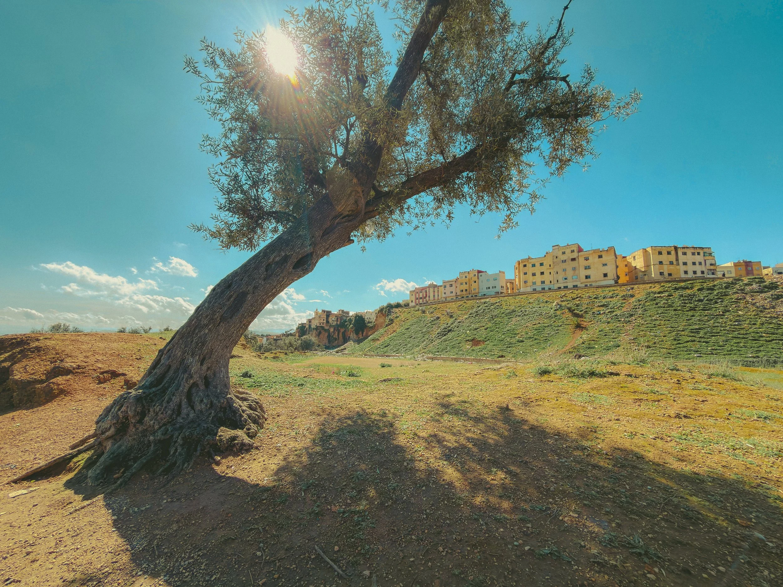 Along the Border. Fez, Morocco 200