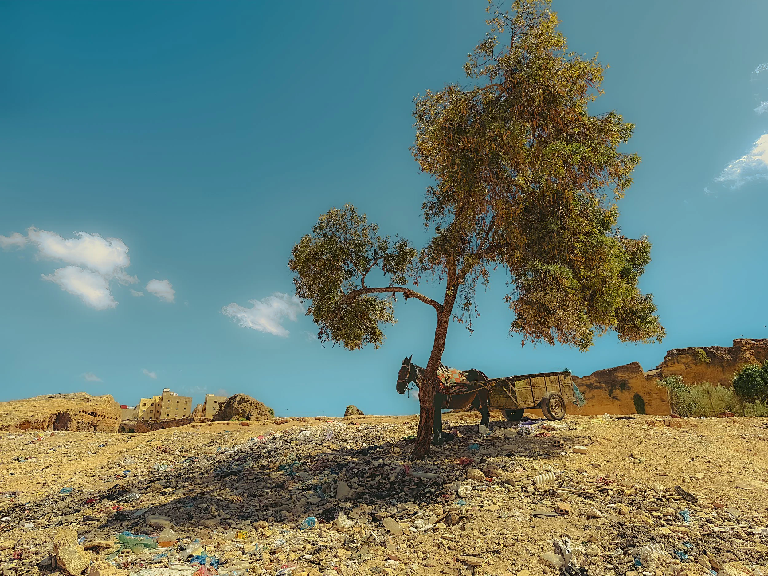 Along the Border. Fez, Morocco 27 