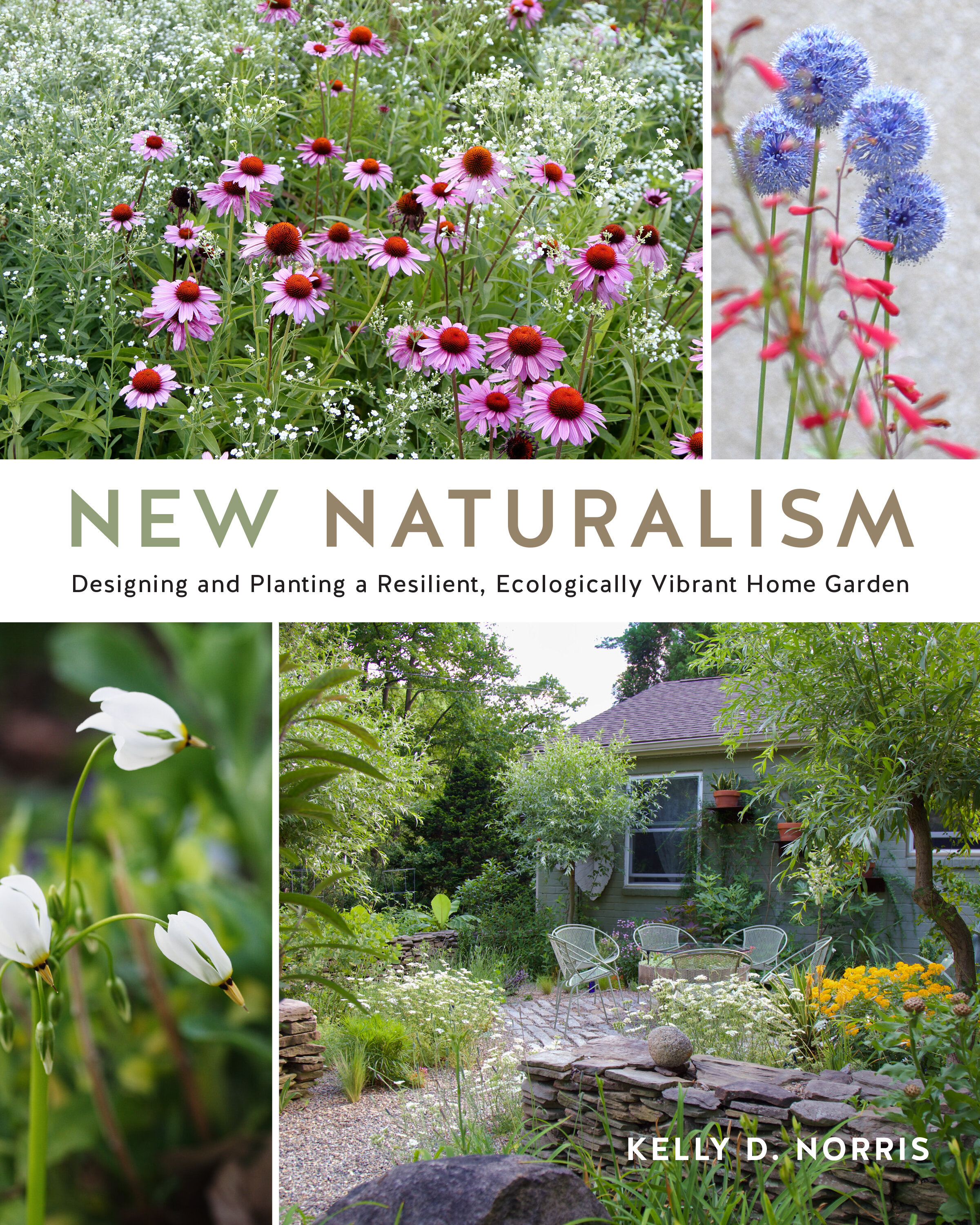 Books_New-Naturalism_Kelly-D-Norris.jpg