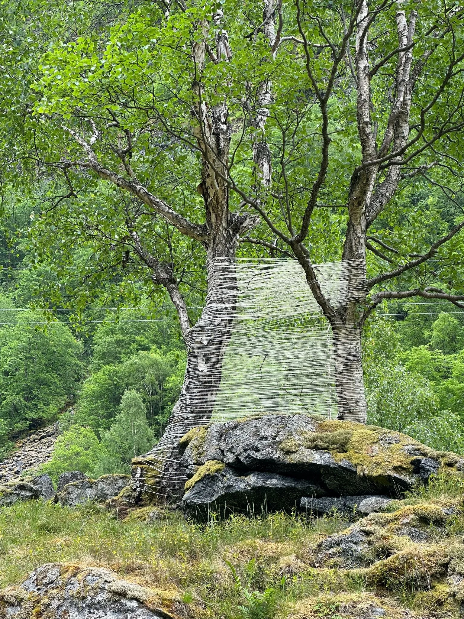« Campfire », projet d'art urbain « Bonfire [Bålprosjektet] » de Signe Domogalla et Lars Arstad, Centre du parc national d'Utladalen, Norvège, 2025
