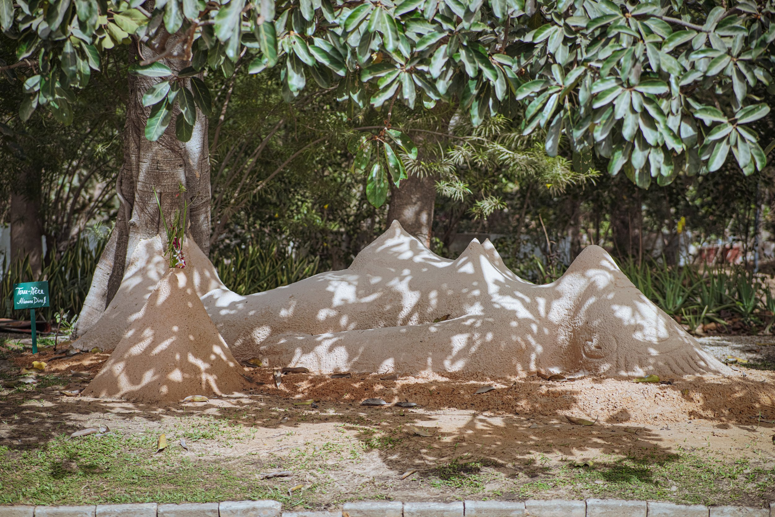 Exposition collective - "Tant que les arbres s'enracineront dans la terre" à la Résidence de France, Biennale de Dakar, 2022