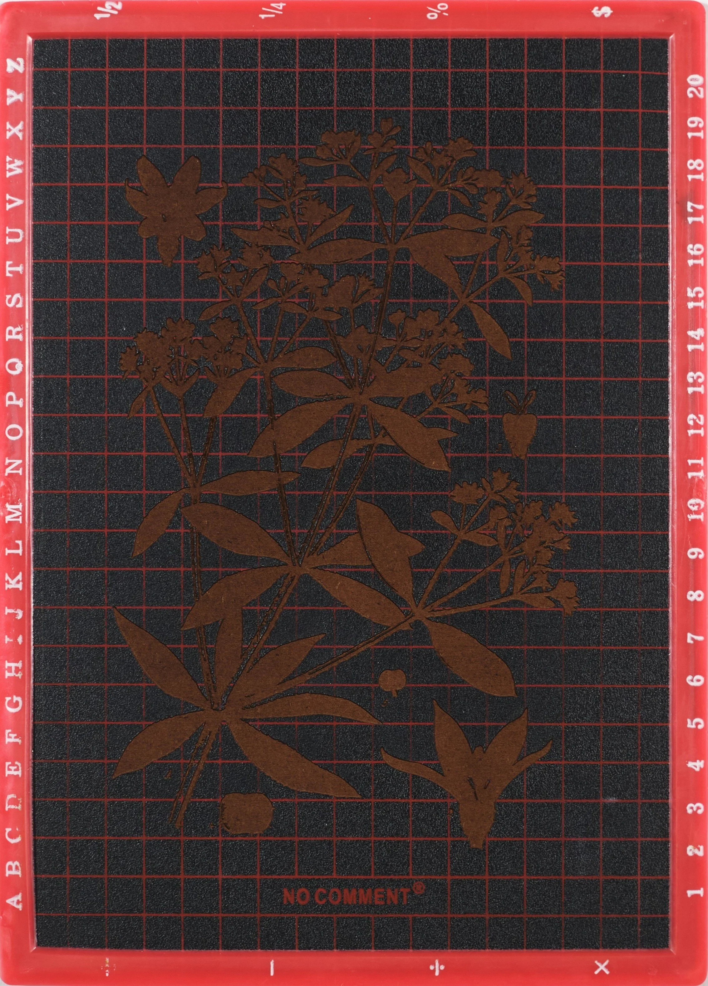 No Comment (Garance), 2025, impression laser sur tableau noir, 18,5 x 25,5 cm  © Louise Lan Millot