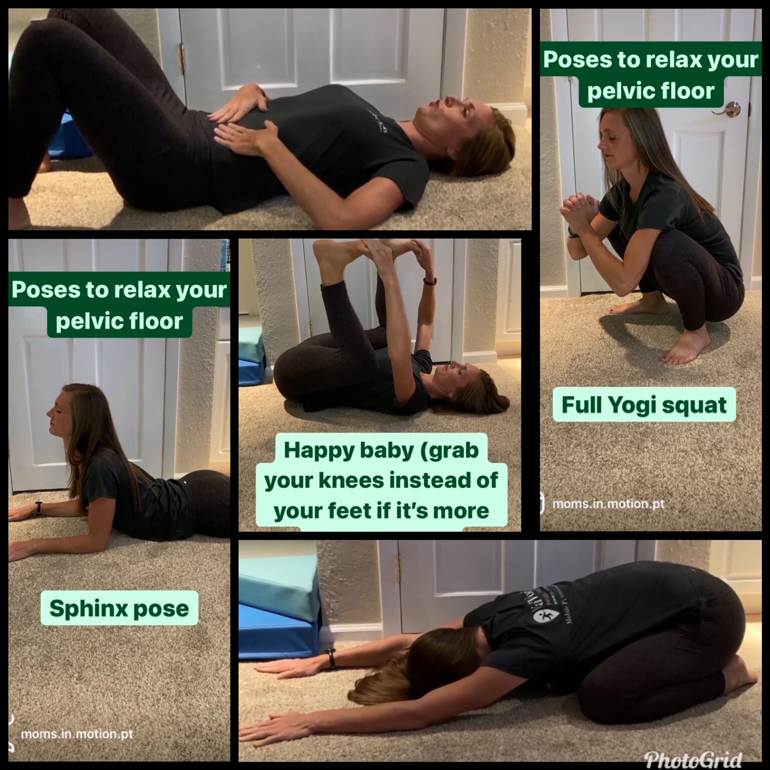 Pelvic Floor and Abdominal Muscle Exercise Cushion