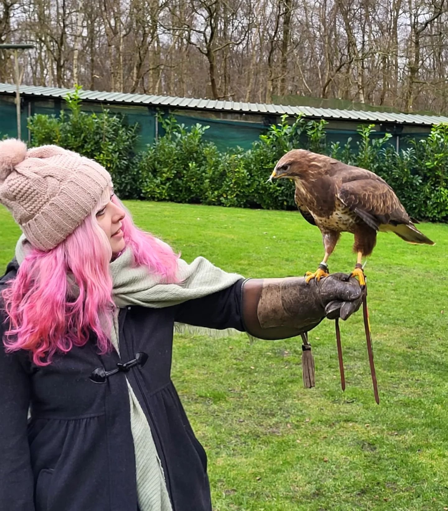 My first falconry experience at @cheshire.falconry 🦅🩷

I've been a fan of falcons and falconry for a long time, and I'm very grateful I got to experience it first hand ! 

Falconry is an ancient art that involves creating a partnership with a bird 