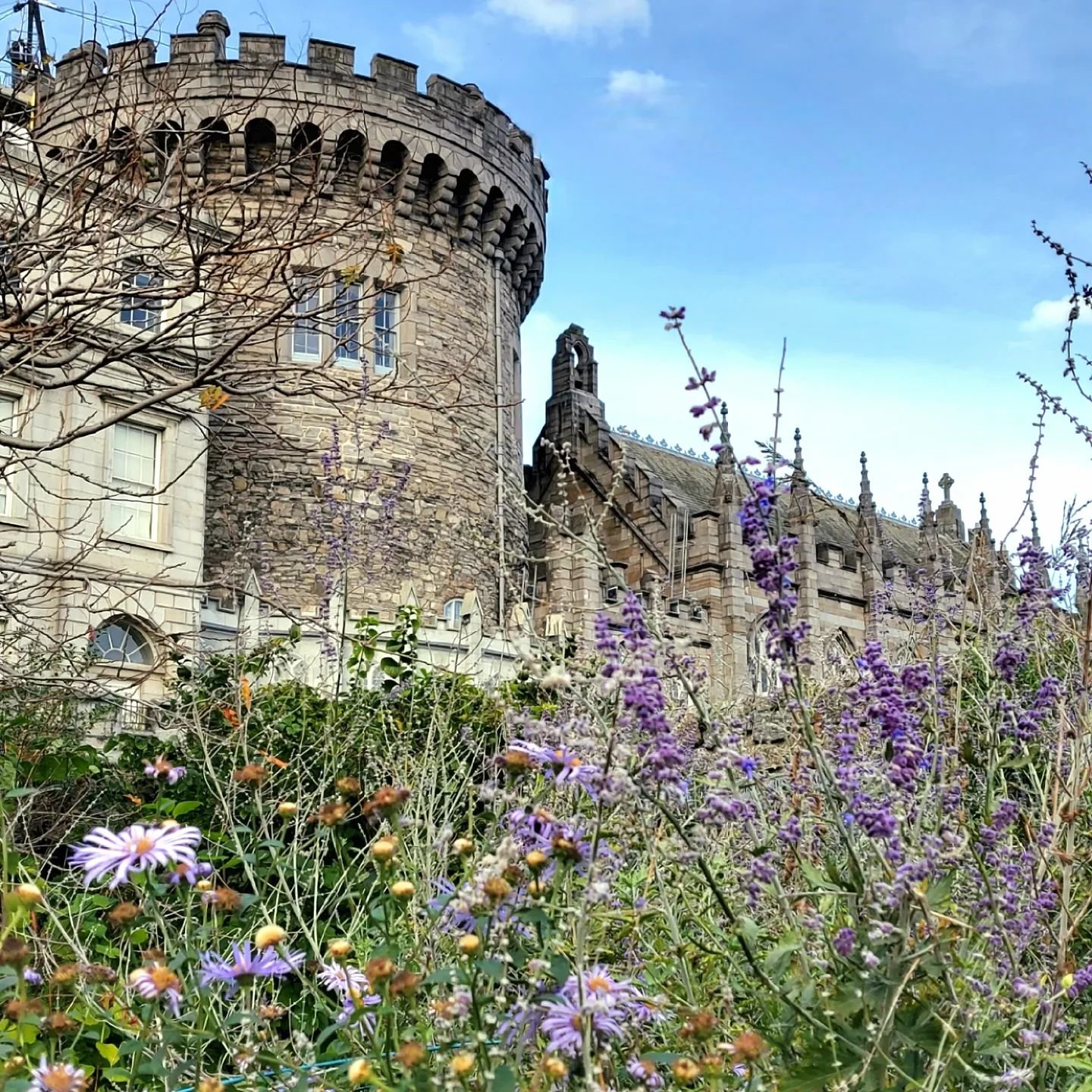 Dublin Castle 🏰 

Some memories from my visit to yet another castle hehe ✨️
The outside of the castle looked super cute with these purple flowers, although the other side of it is being renewed and you can see some construction.
The inside was full 