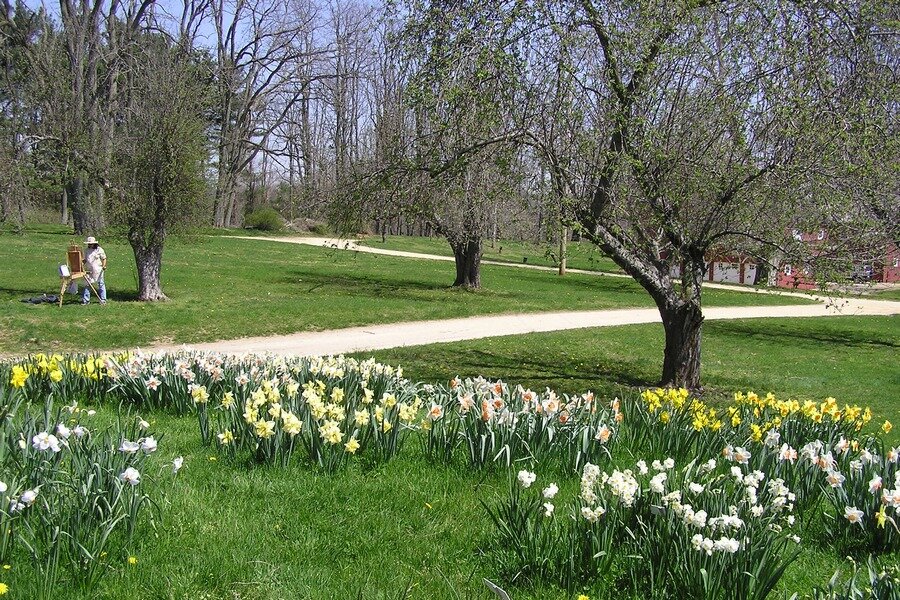  Lawn, flowerbed, and artist at Bayonet Farm - photos by Sam Shramko 