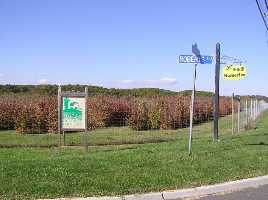  View of F and F Nurseries - photos by Sam Shramko 