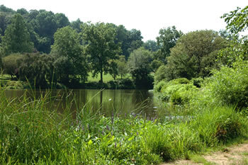  Lake in the park - photographer unknown 