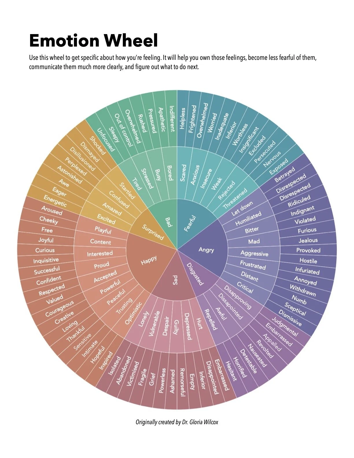 emotion wheel JPG.jpg
