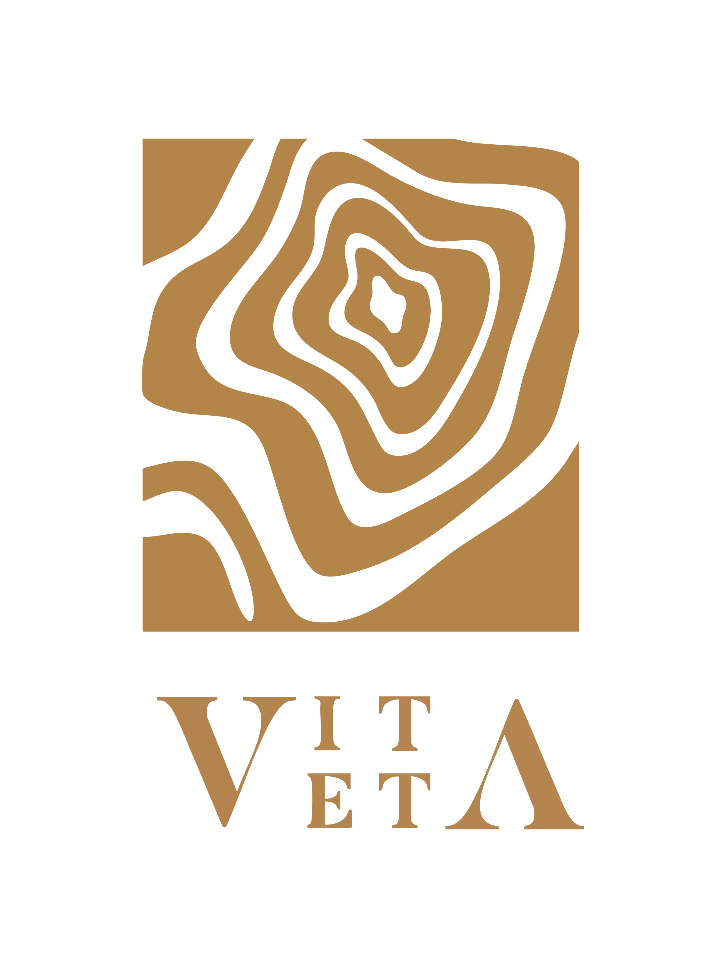 VitaVeta_LOGO.png