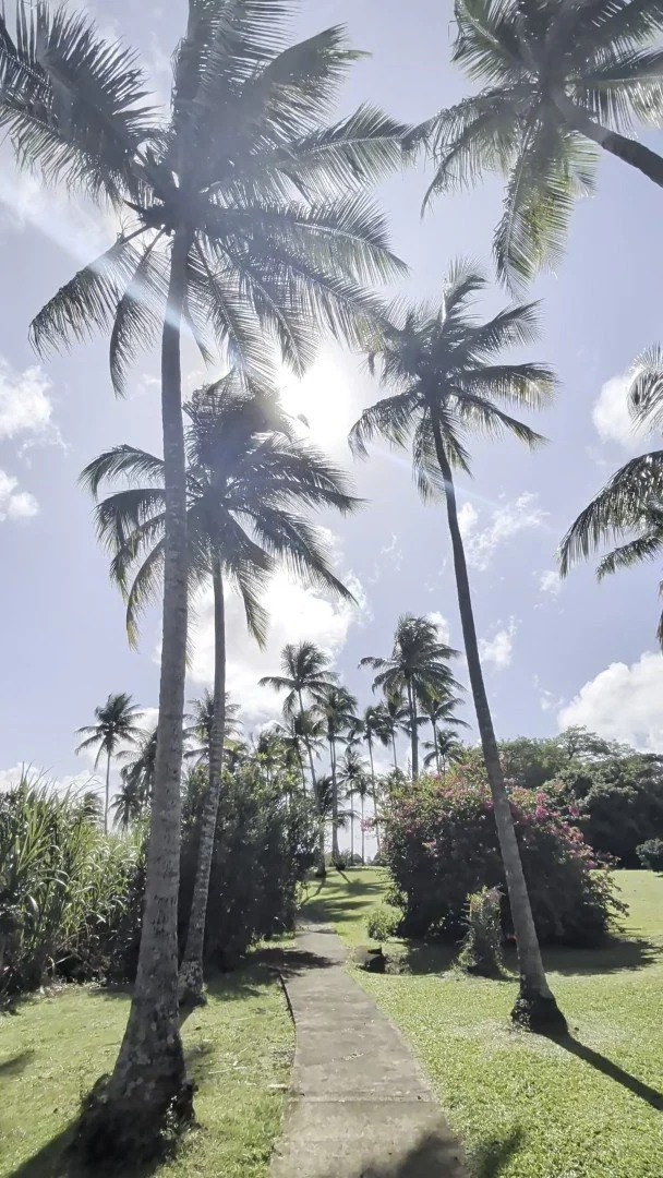 PXL_20251127_141509419_exported_1666 (Large).jpg