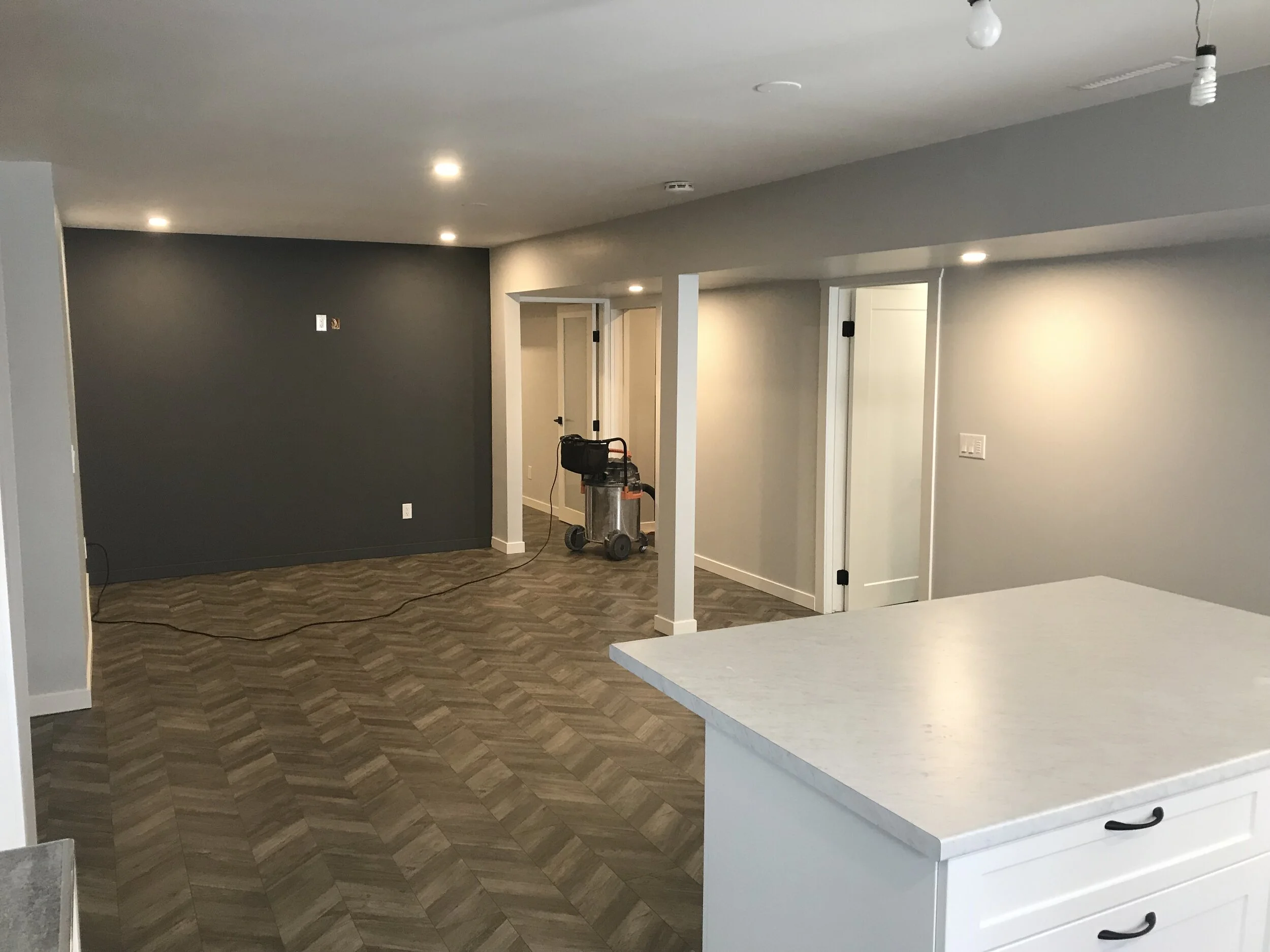 Adding Basement Suite, layout, flooring, colours & finishes selections