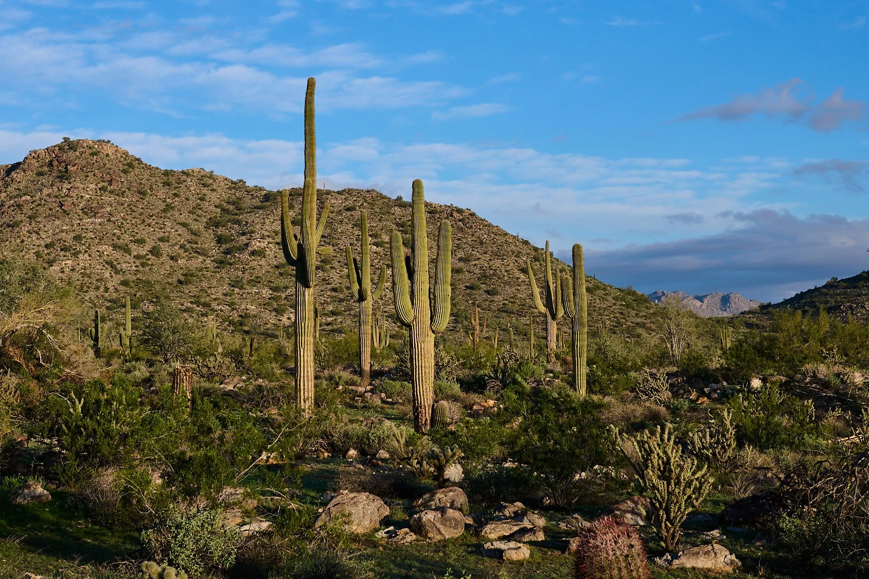 Robert G Allen Photography takes delivery of the Nikon Zf Silver edition with sample photos