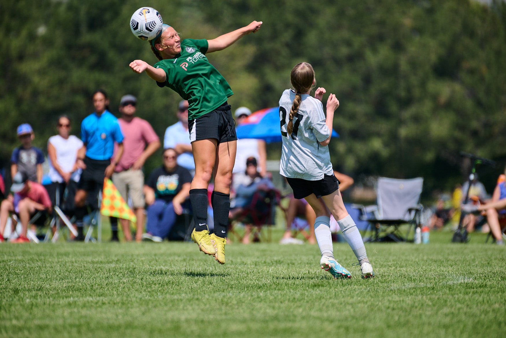 A Field Guide to All 16 Firmware Updates for the Nikon Z9. Is this even the same camera that was originally released?