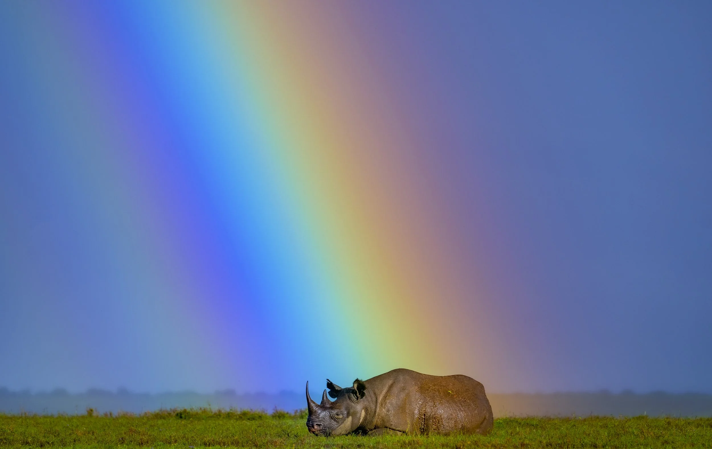 National Geographic names Nikon Ambassador Ami Vitale as Explorer at Large