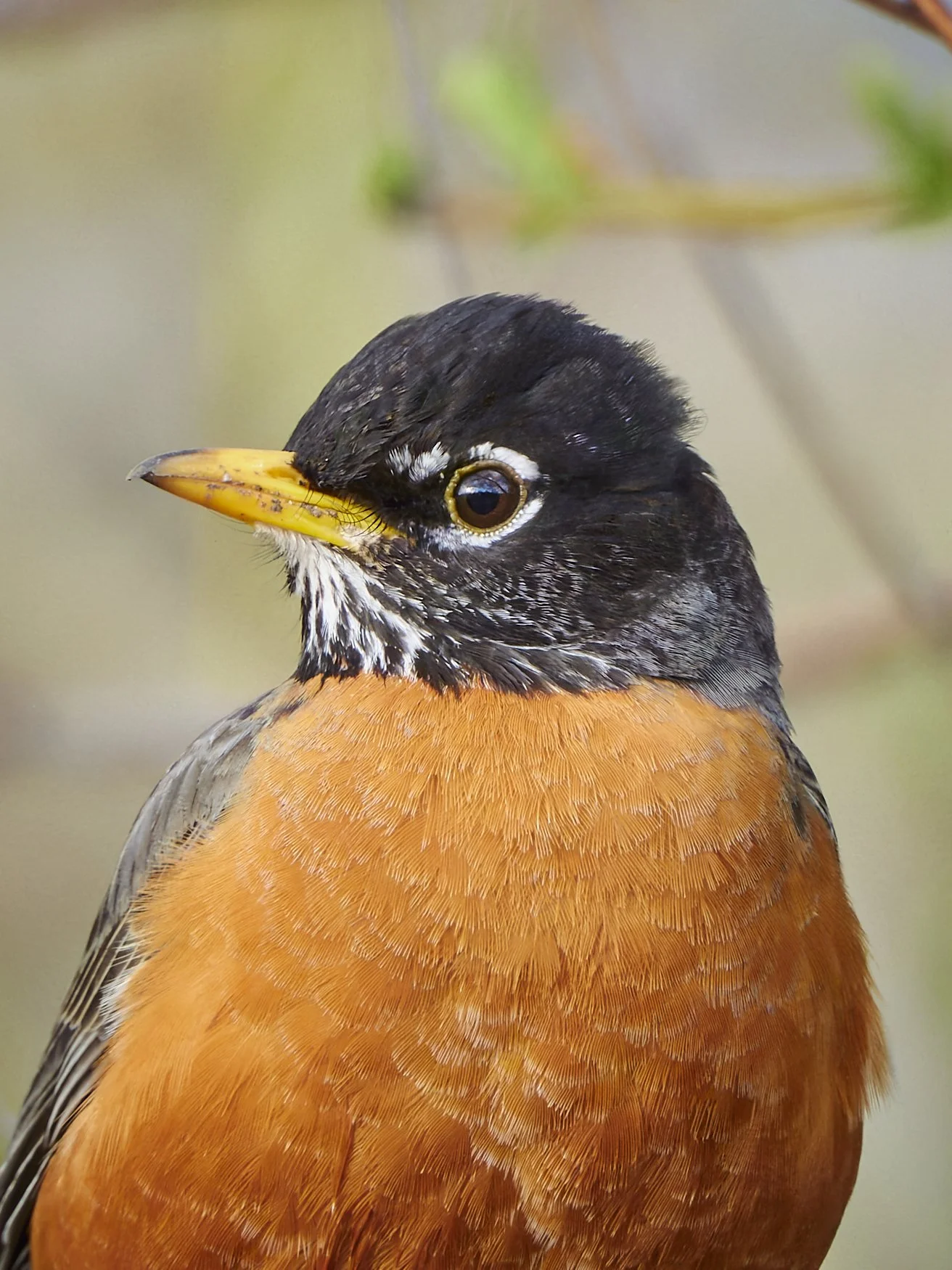 Robert G Allen Photography DSCN0545.jpg
