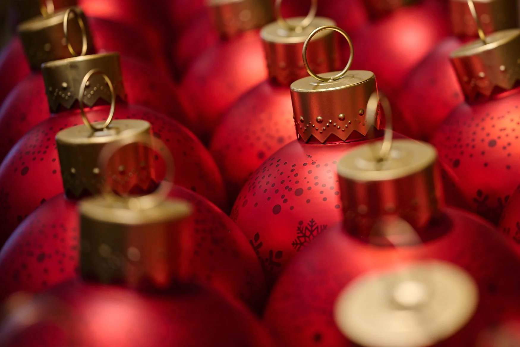 Nikon NIKKOR Z 85mm f/1.8 S lens sample photos