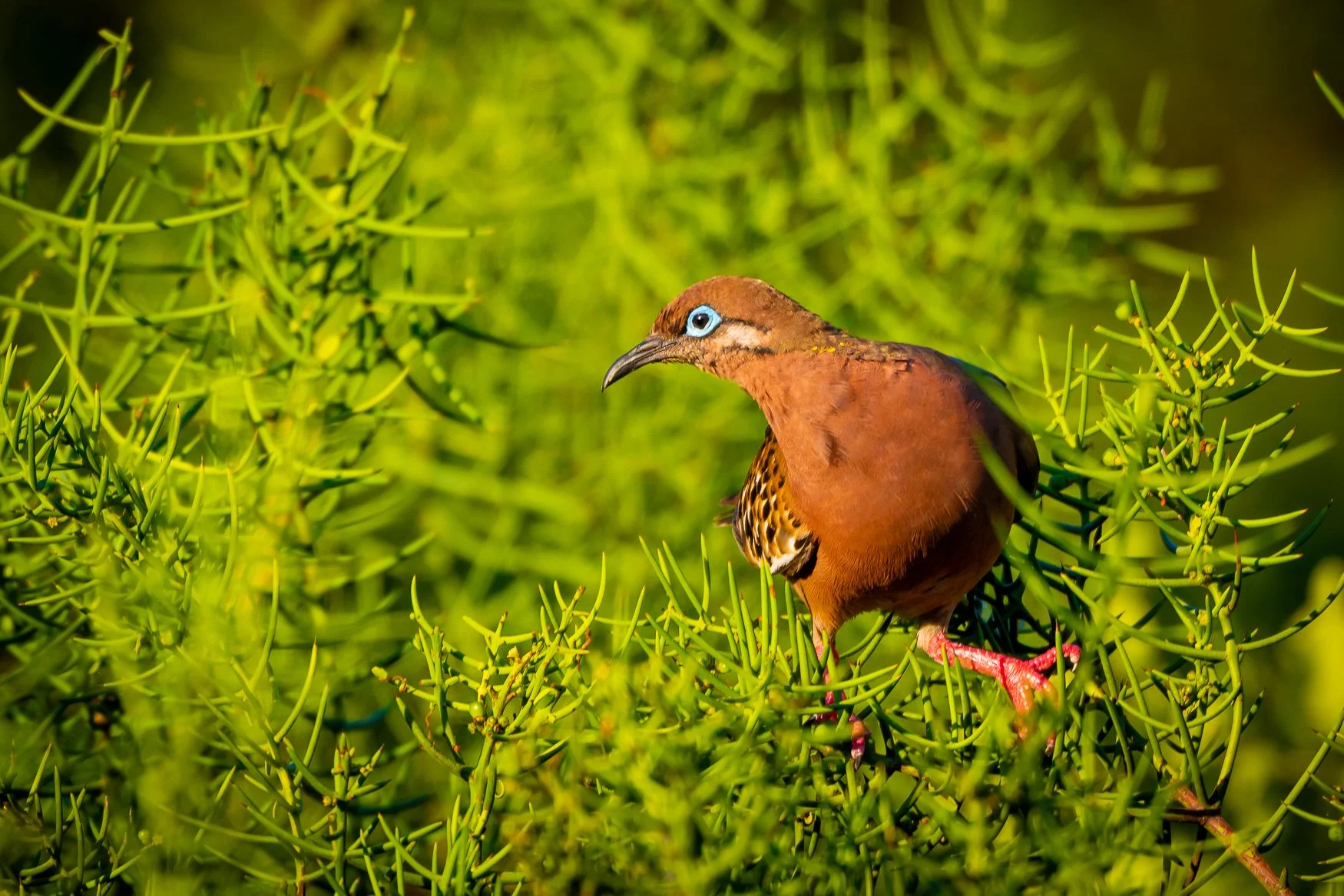 Pro Image Event Photography _DSC0465-Enhanced-3.jpg