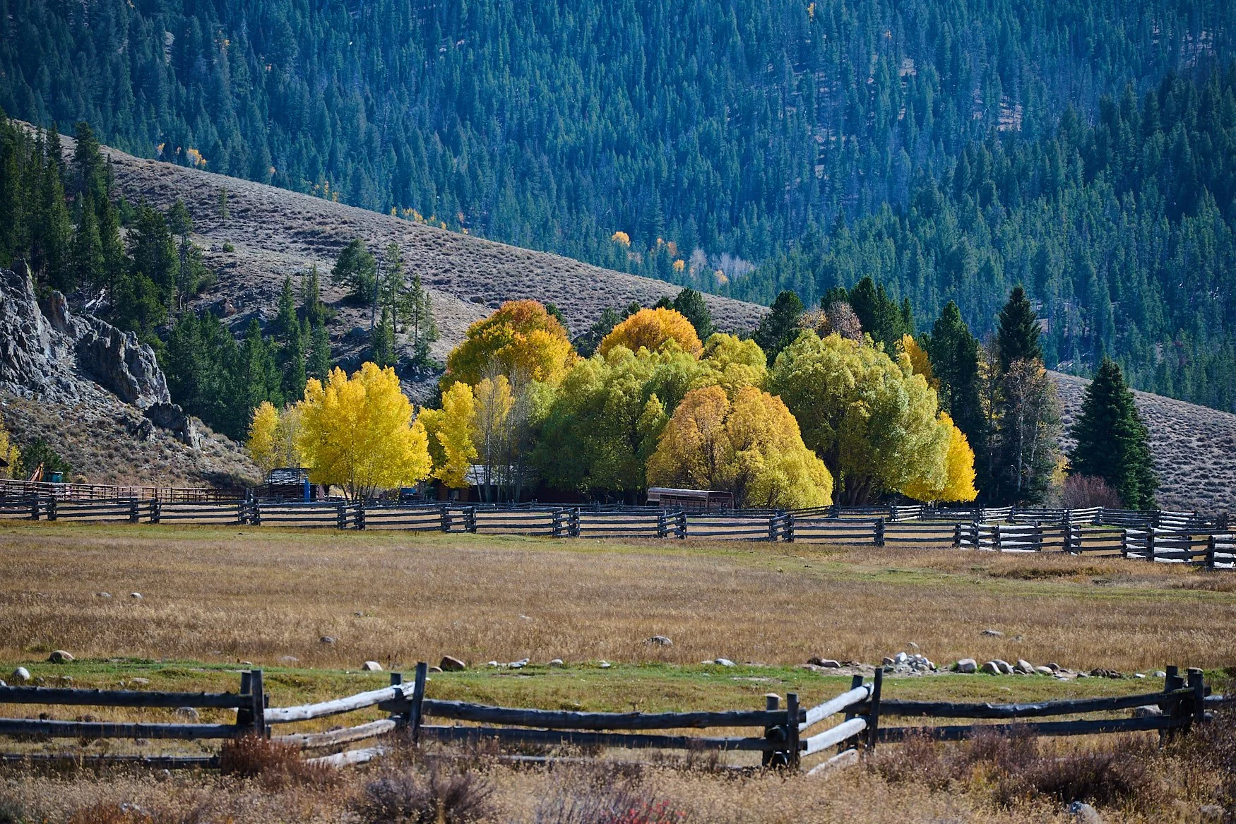 Nikon Z5II sample photos