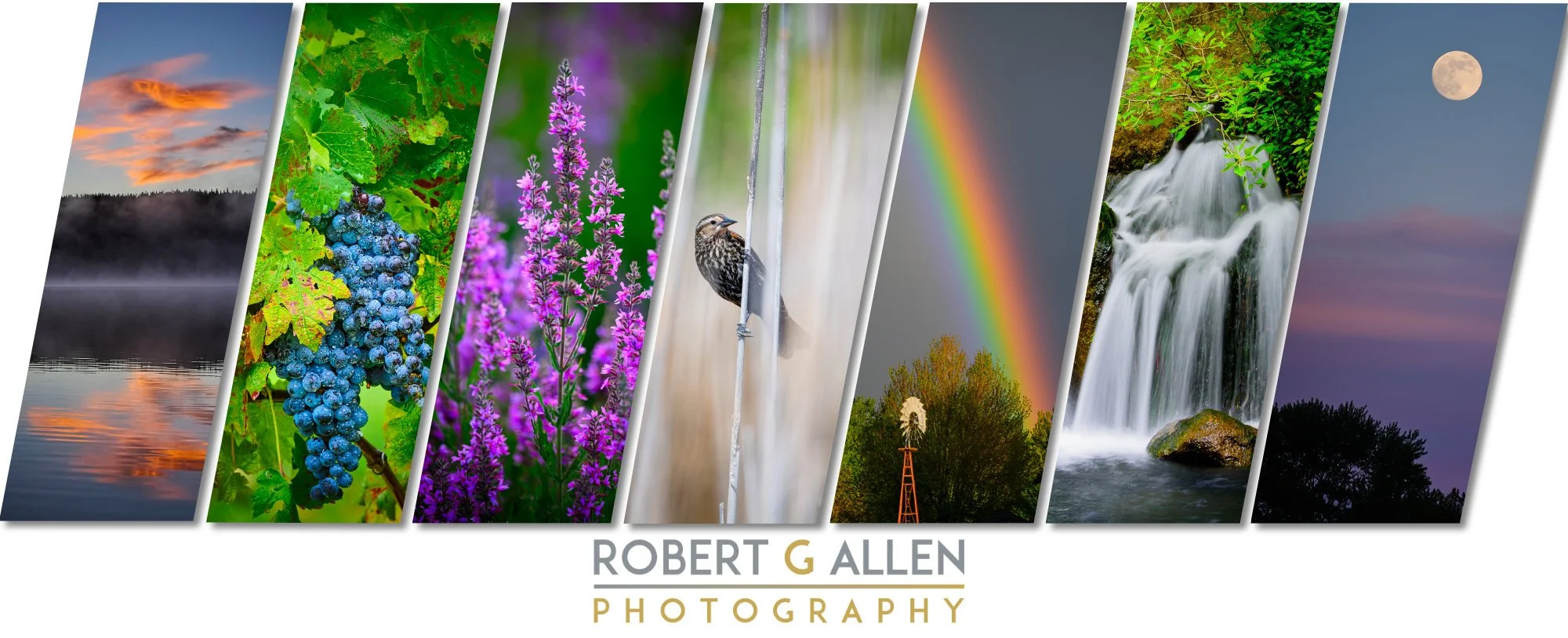 Collage of photos as the cover photo of a Nikon blog