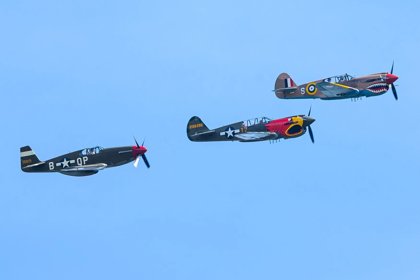 Sample photo taken with the Nikon Z5II and the NIKKOR Z 180-600mm f/5.6-6.3 VR lens