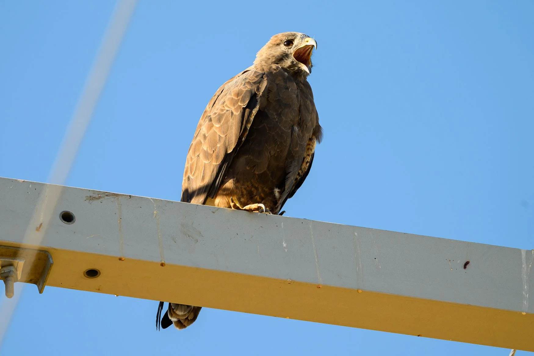 Nikon Z5II sample photos