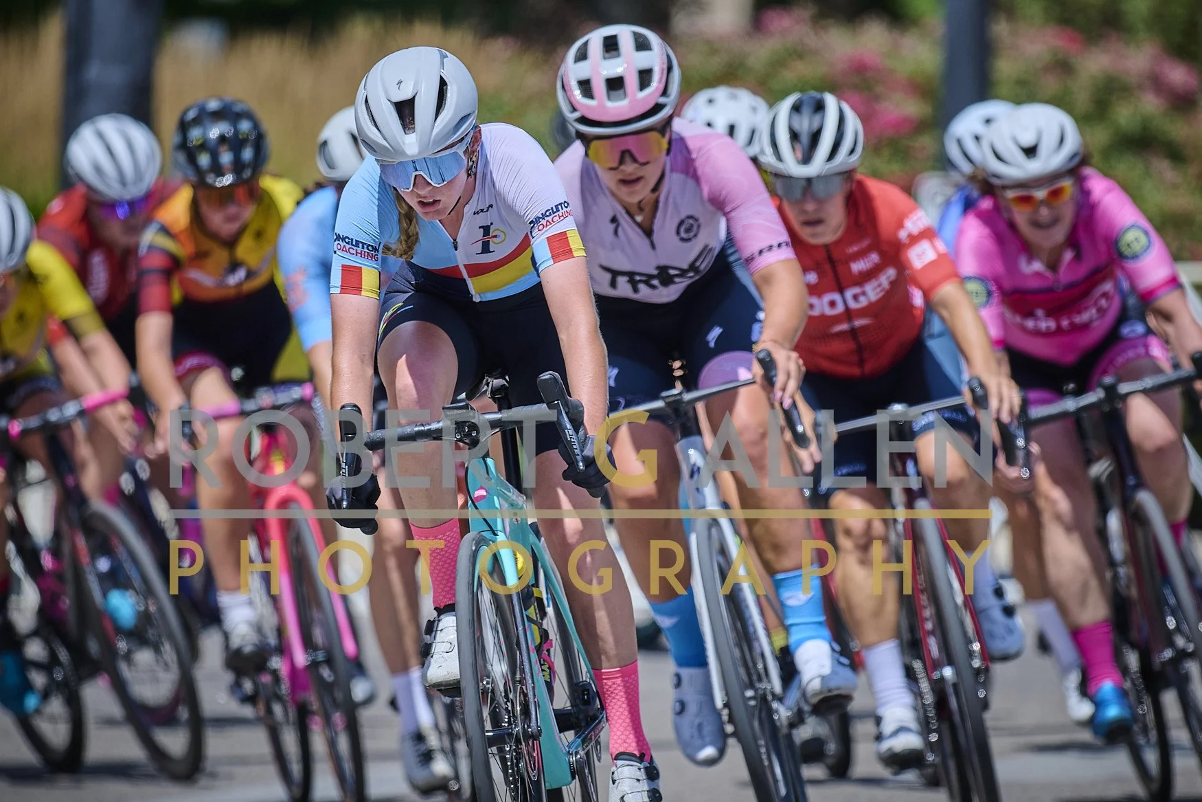 Group of female cyclists racing, wearing colorful jerseys and helmets, focused on the race, with a blurred background of trees and pink flowers.