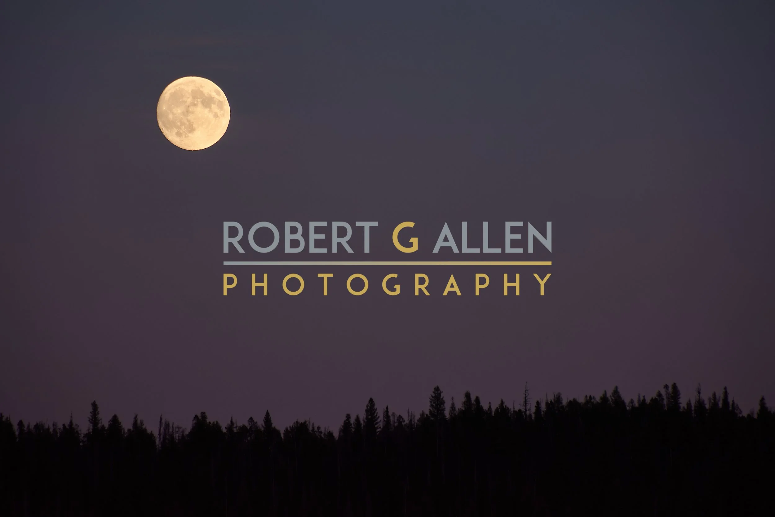 Nighttime landscape with a clear sky showing a bright, full moon and a silhouette of a forest at the bottom. The text overlay reads 'Robert G Allen Photography'.