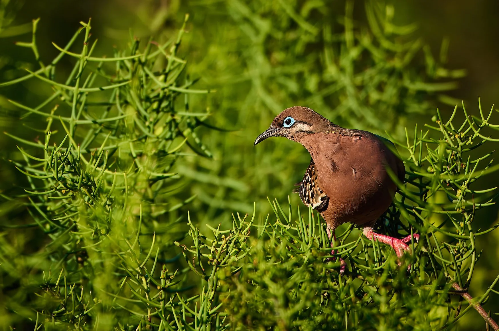 Robert G Allen Photography_DSC0465-topaz-denoiseraw-sharpen-enhance-2x.jpg