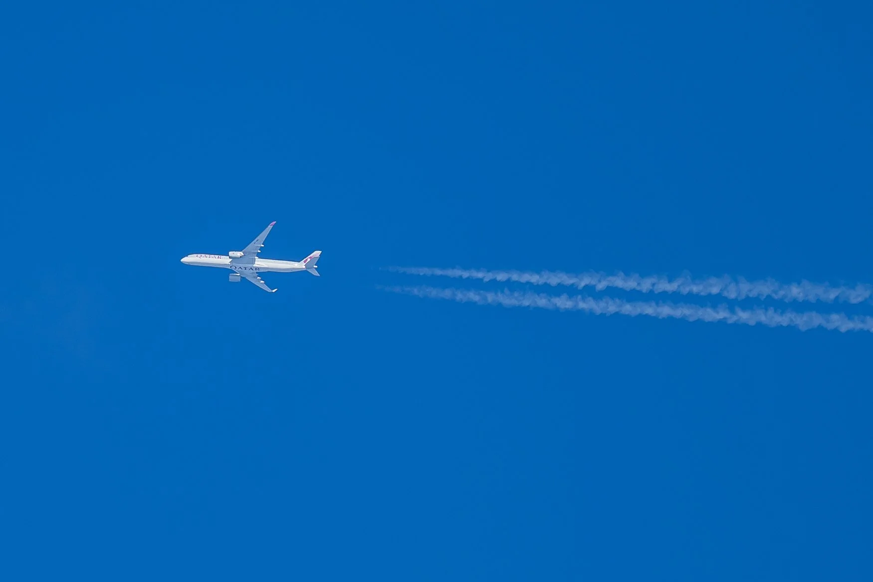 Sample photo taken with the Nikon Z5II and the NIKKOR Z 180-600mm f/5.6-6.3 VR lens