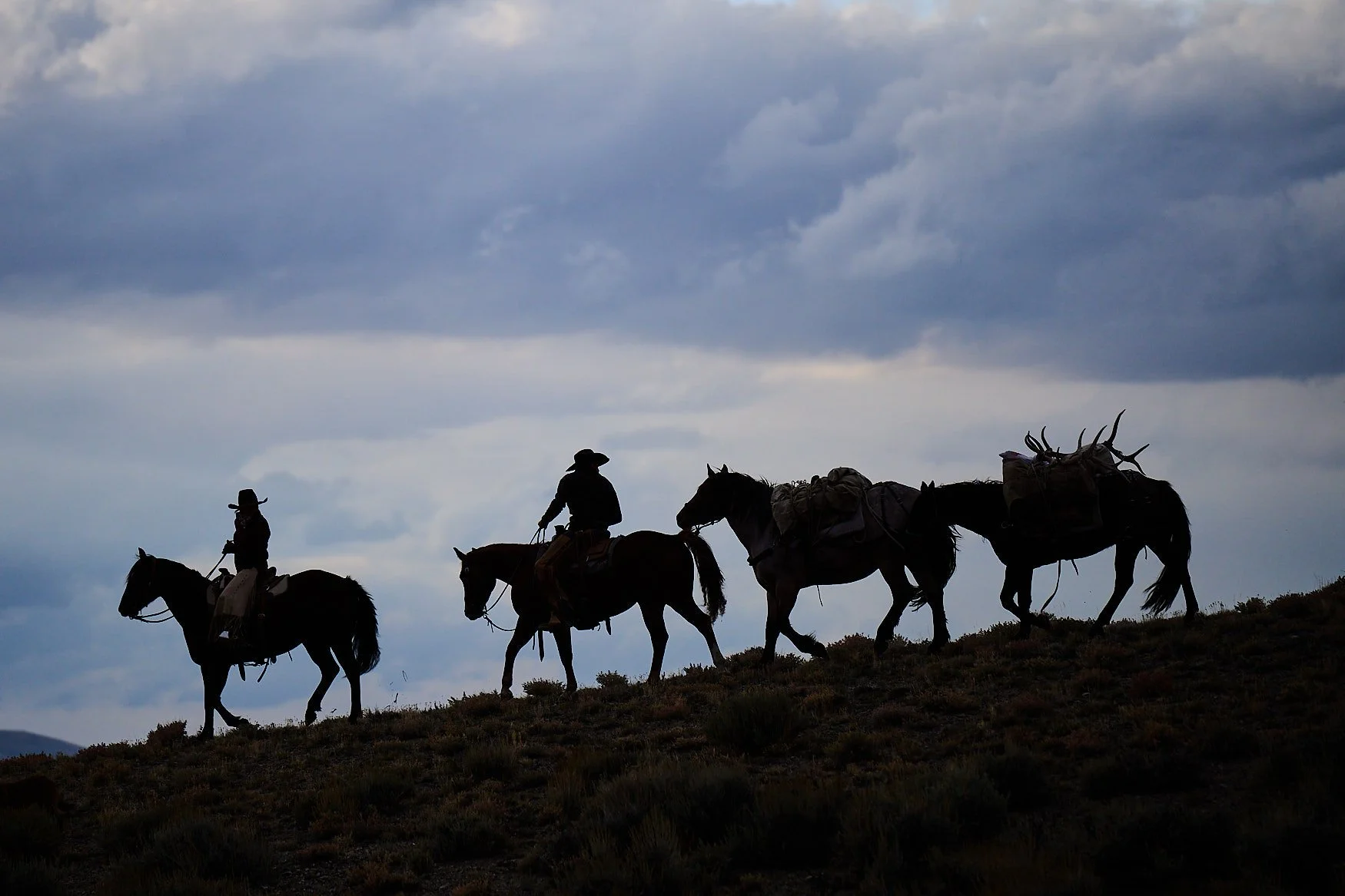 Silhouettes of three horseback riders traveling along a trail against a cloudy sky, with loaded saddles and antlers on one horse.