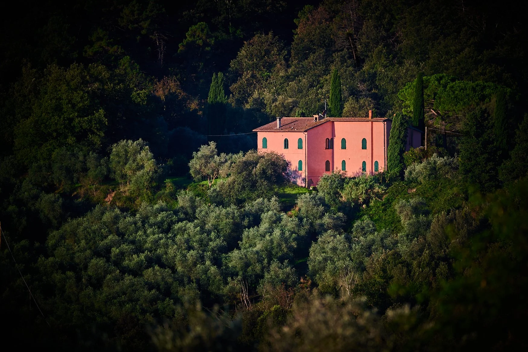 A pink house surrounded by dense green trees, situated on a hillside or in a forested area.