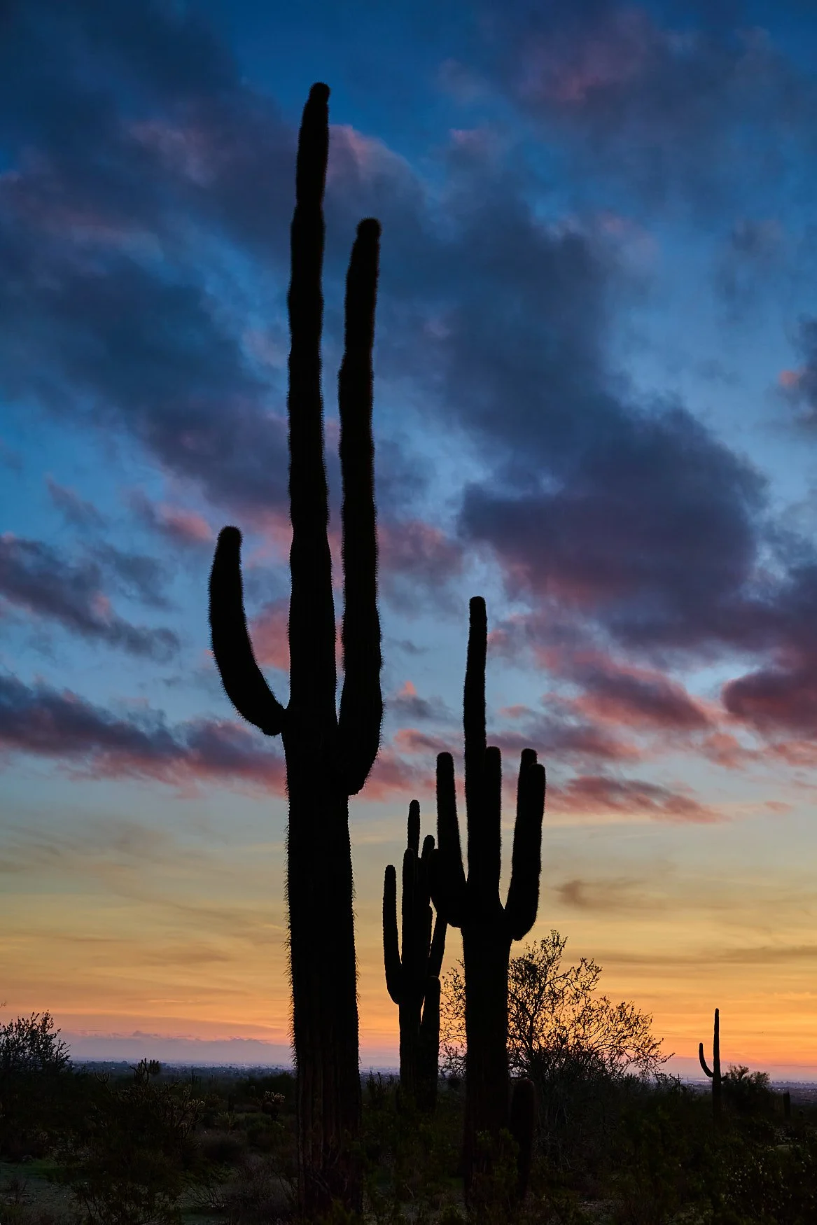 Robert G Allen Photography_NZF0171_1.jpg