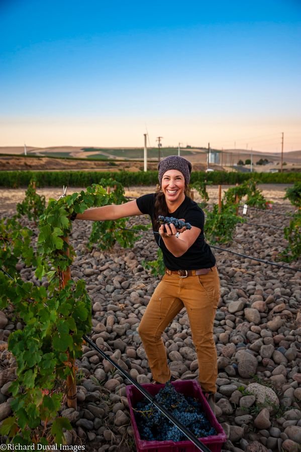 Best Walla Walla wine grapes, SJR Vineyard, Delma Wines