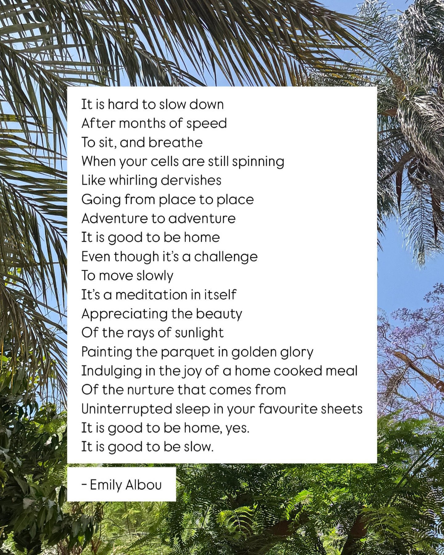 🧘🏼&zwj;♀️🌿🌸 Gratitude. Grounding. Presence.