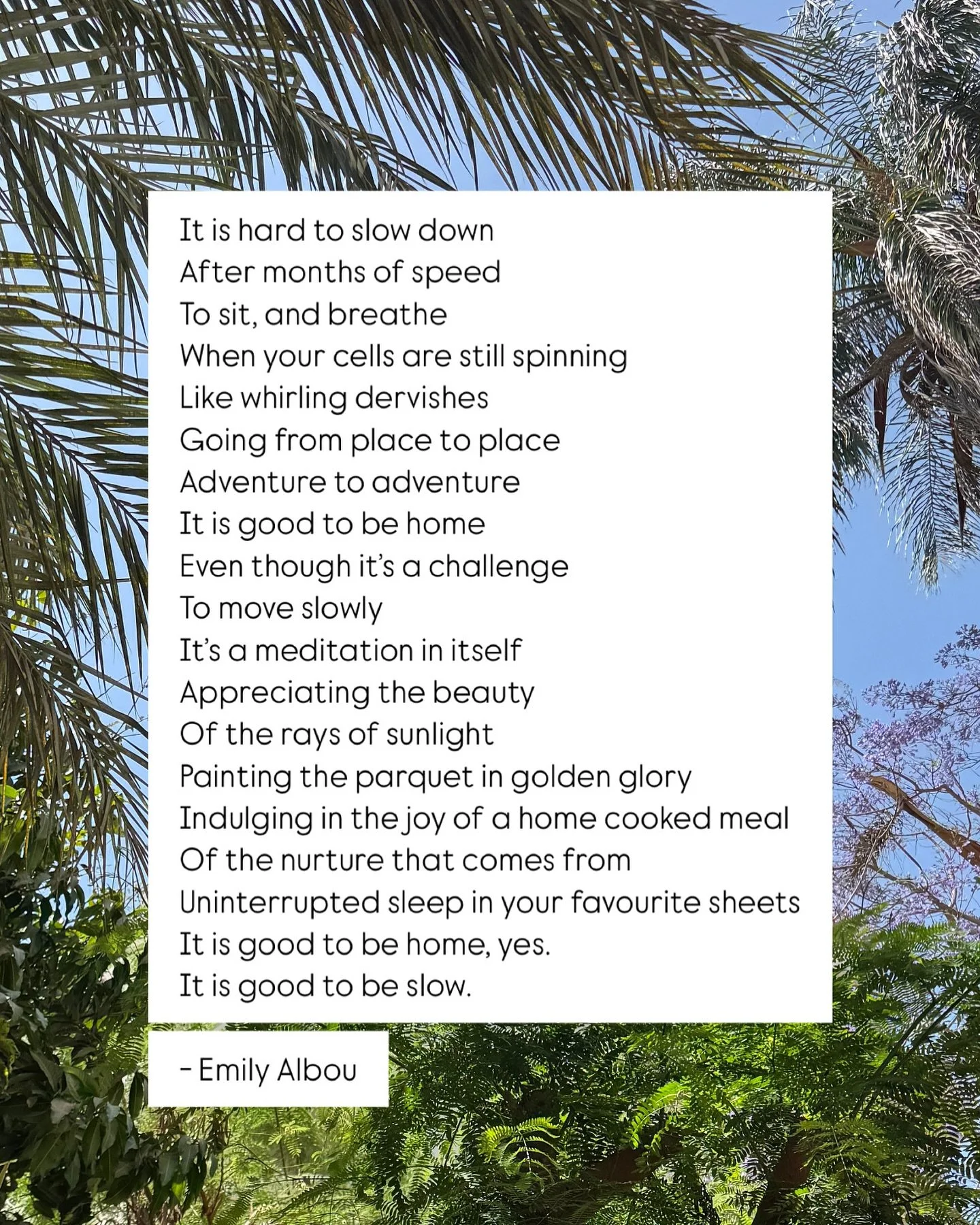 🧘🏼&zwj;♀️🌿🌸 Gratitude. Grounding. Presence.