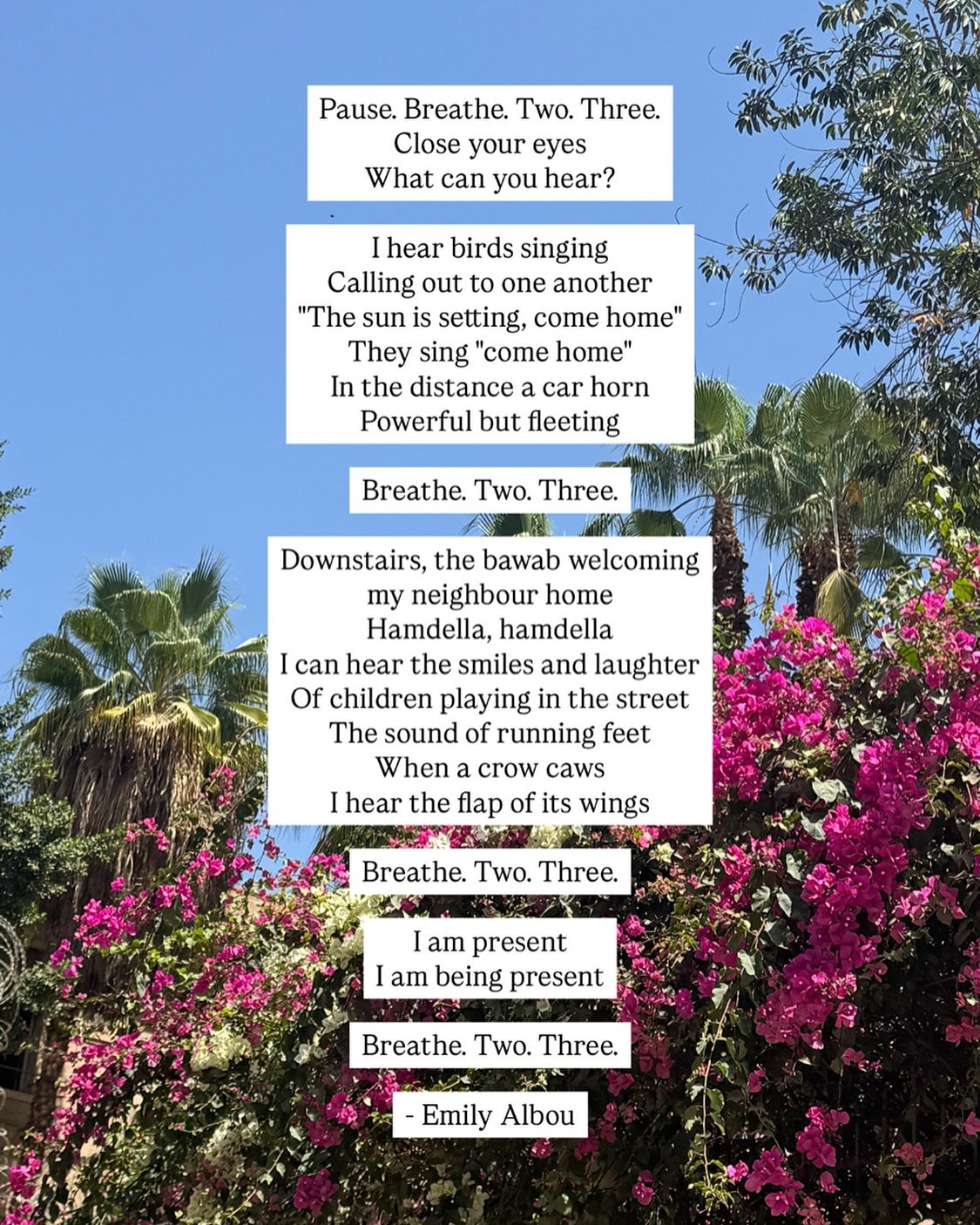 Found something I&rsquo;ve been meaning to post since I wrote it in May 2023 (!). I love this poem 🌸💓✨ The sounds of Cairo. The sensations of being present.